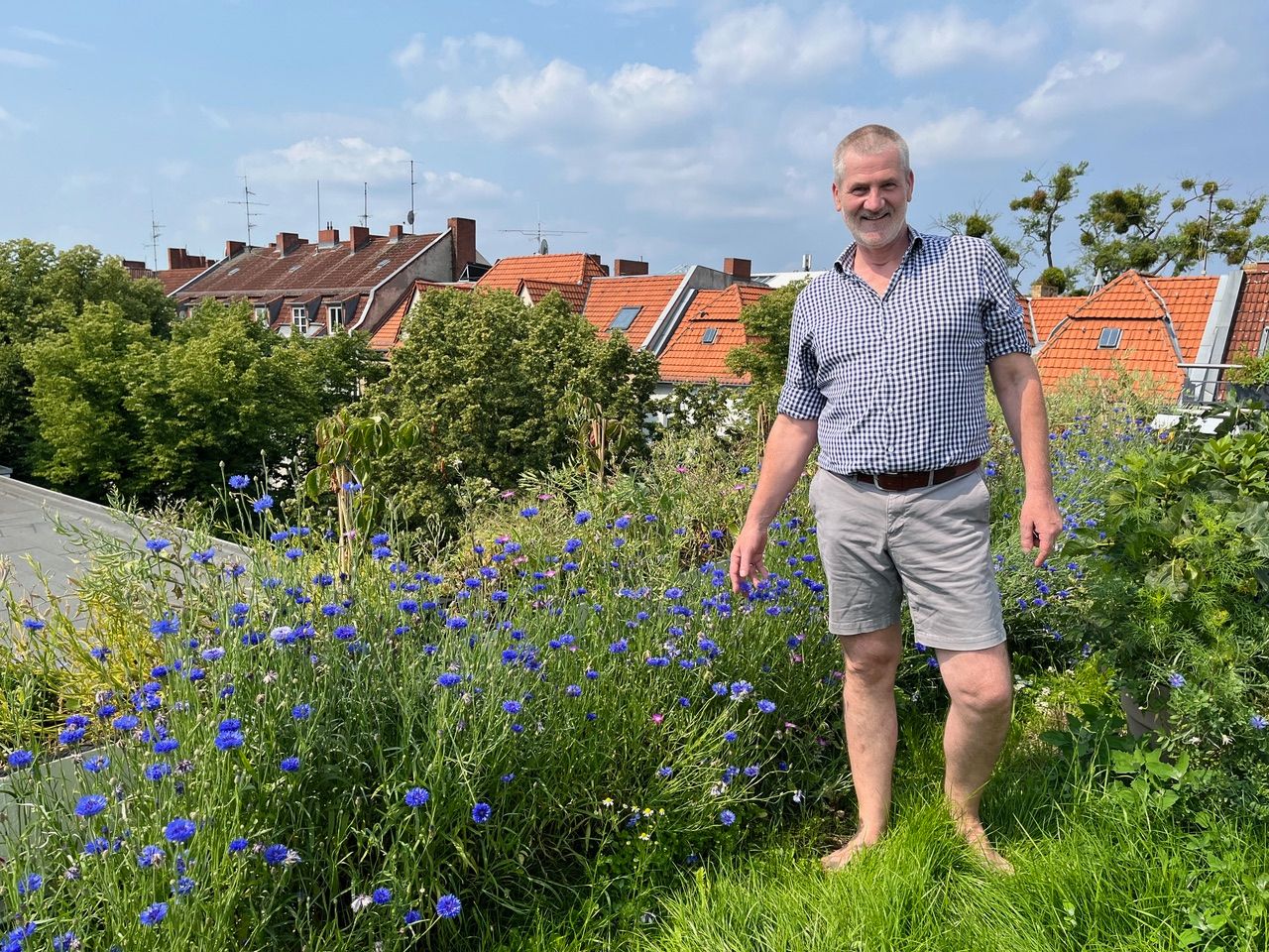 Begrünte Dächer in Berlin: Ein Paradies im Oberstübchen