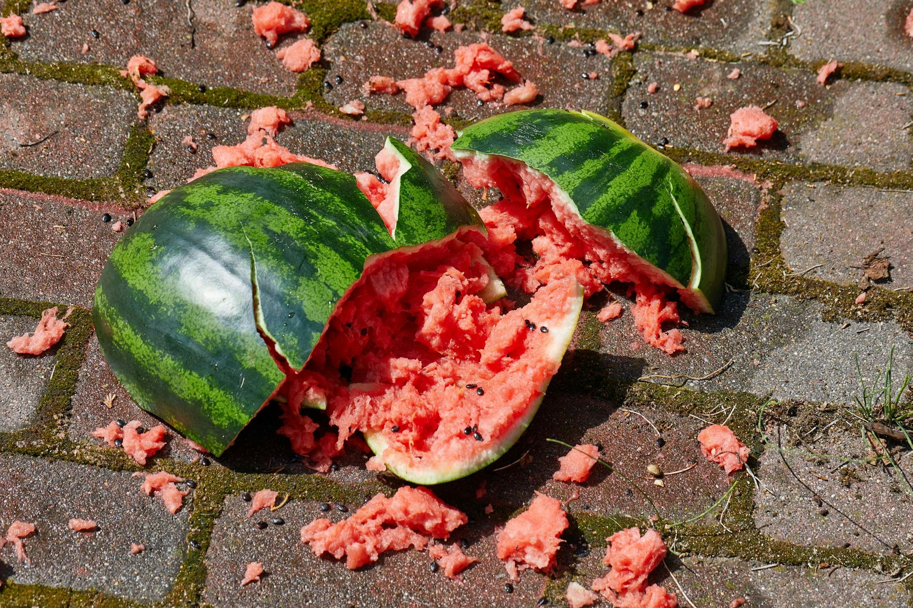 Wussten Sie schon, dass Wassermelonen explodieren können? In den sozialen Netzwerken wird davor gewarnt.