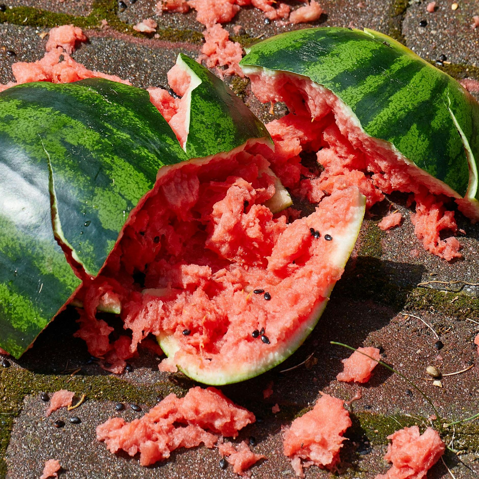 Gefahr! Wenn Ihre Wassermelone DAS macht, schaffen Sie sie sofort weg