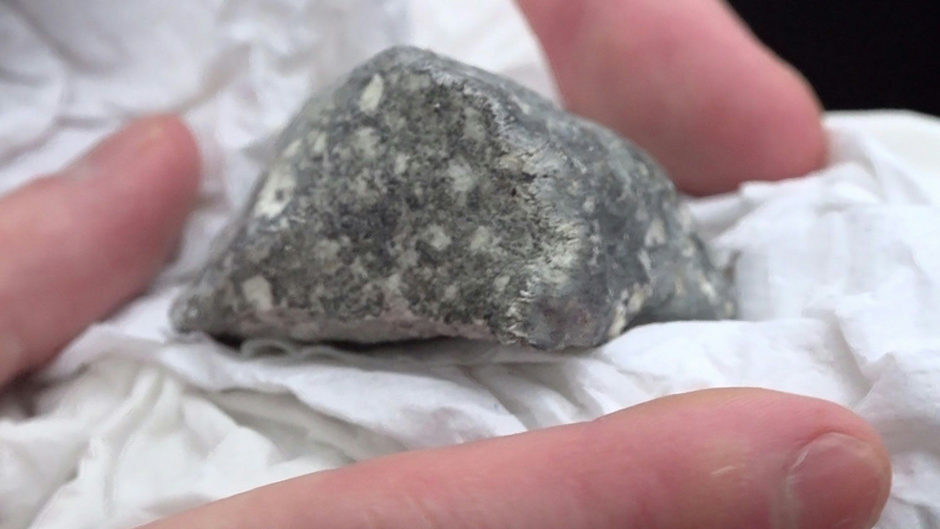 Dieses Meteoritenteil wurde von vier polnischen Meteoritensuchern auf einem Feld bei Ribbeck gefunden. 