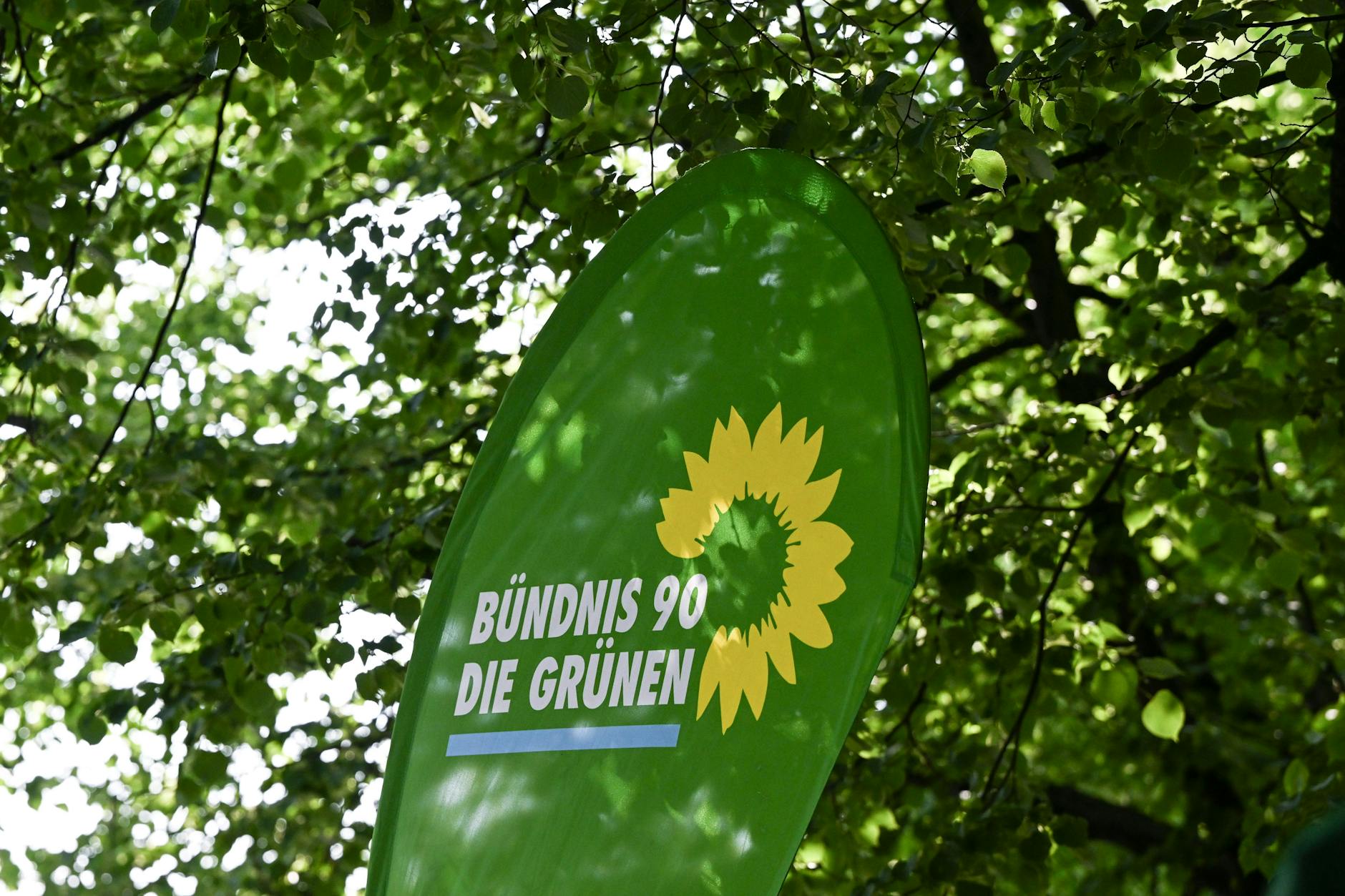 Insa-Umfrage: Grüne rutschen auf 10,5 Prozent. (Symbolbild)
