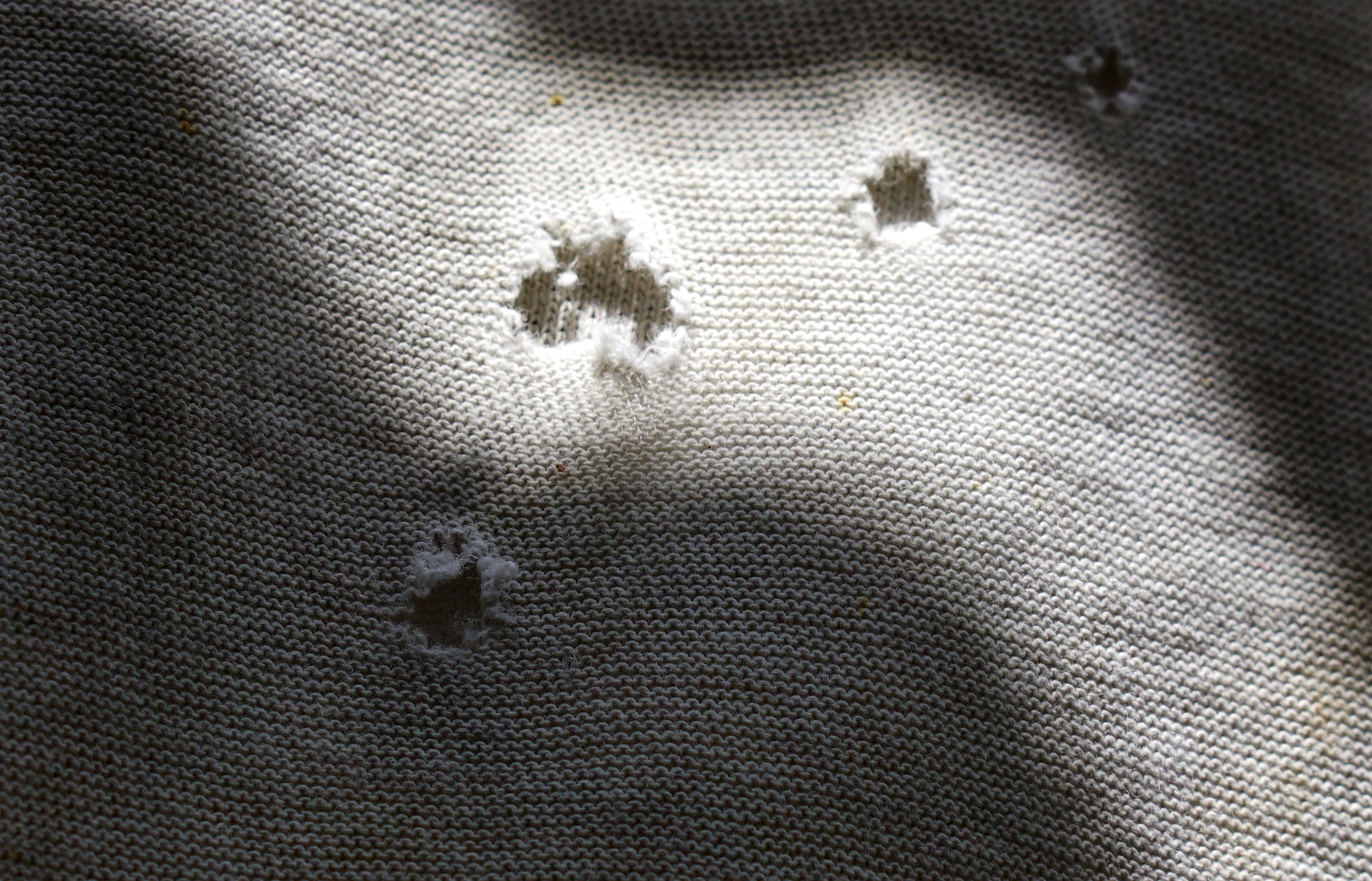 Kleine Löcher in der Kleidung: Wie sie entstehen, was wirklich hilft!