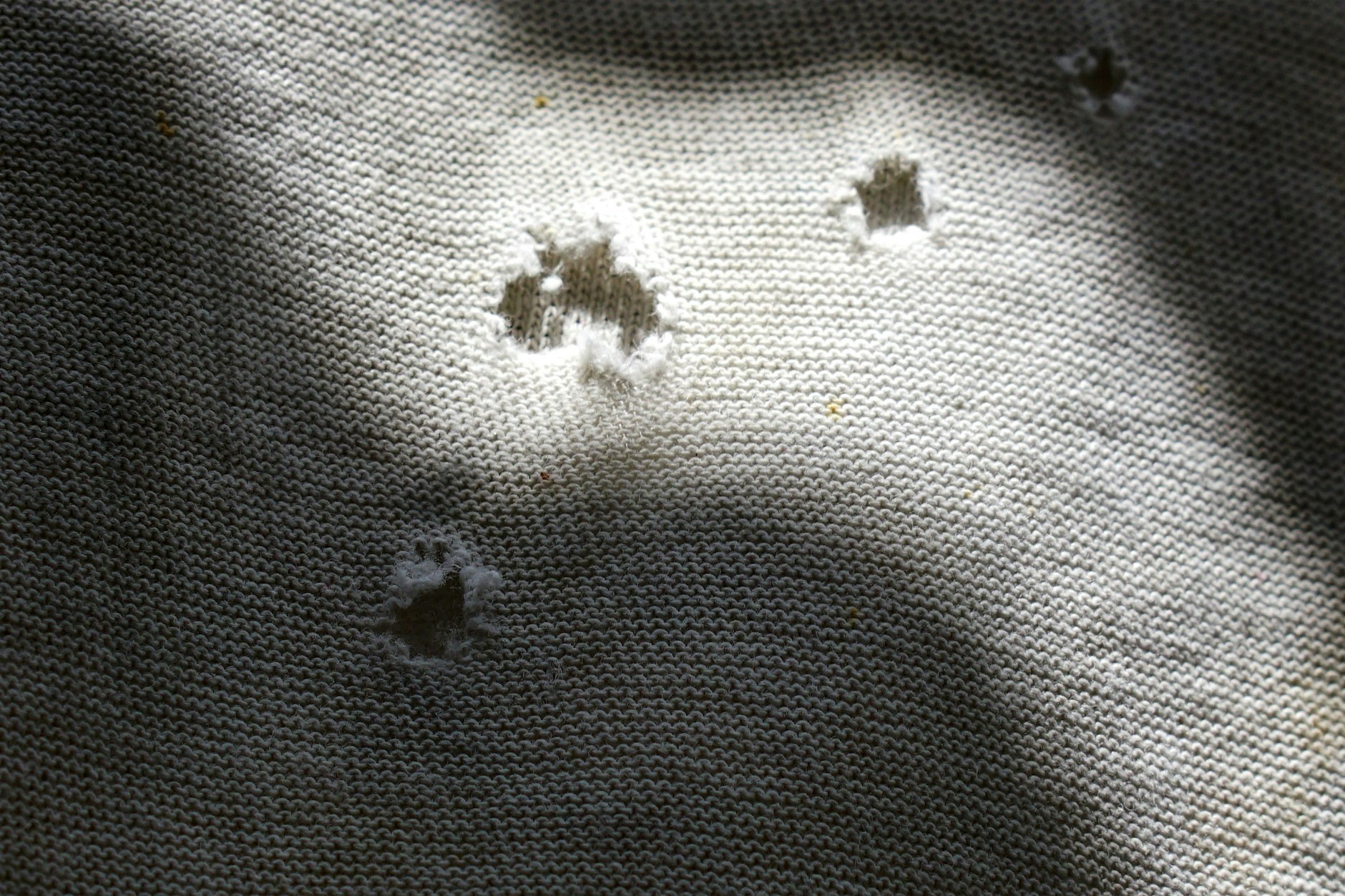 Oft finden sich schon kurz nach dem Kauf kleine Löcher in der Kleidung.