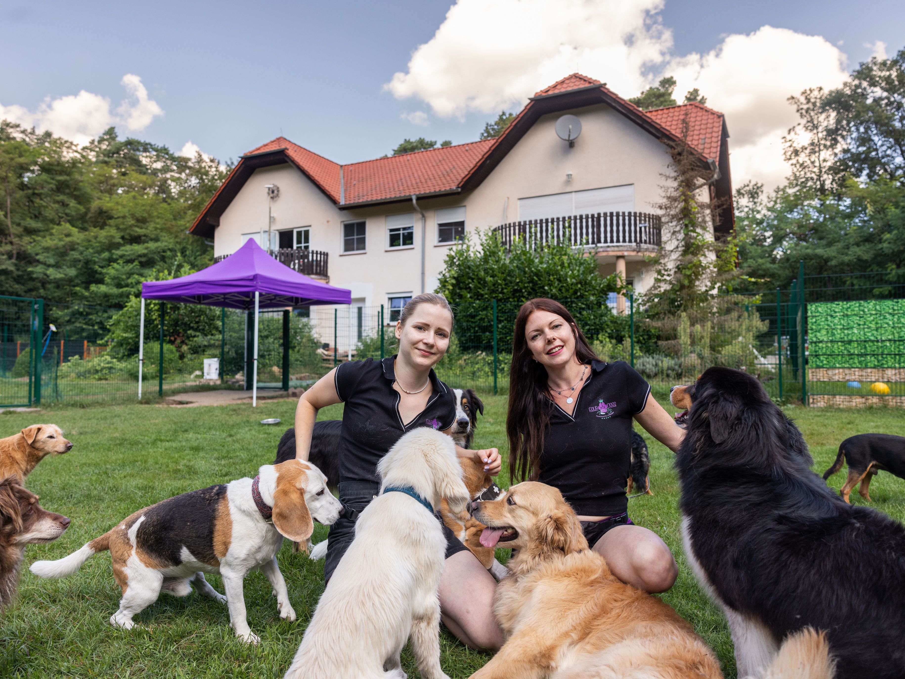 Image - All-inclusive-Urlaub für Hunde: „Für einige ist der Hund ein Kind-Ersatz“