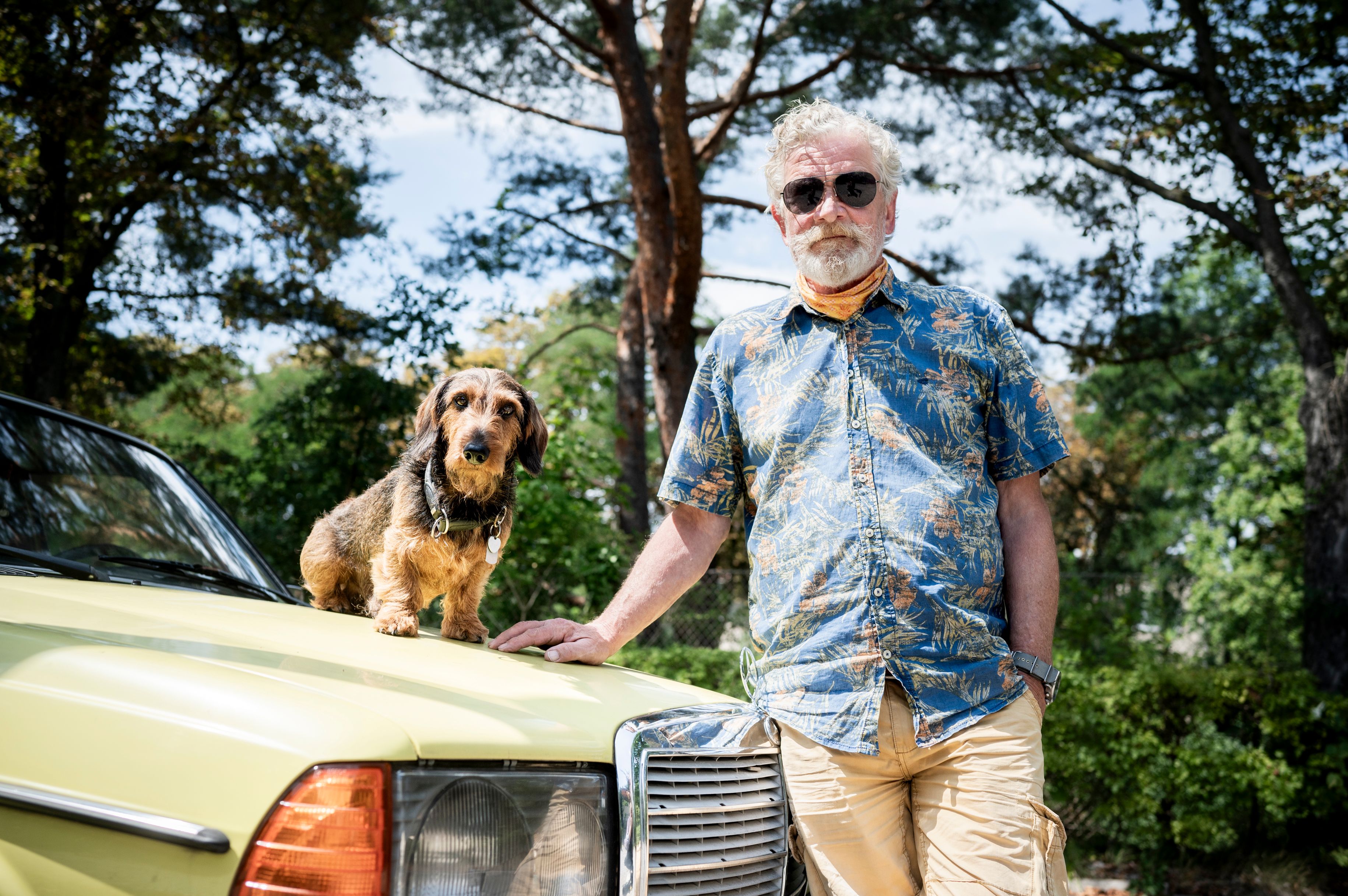 Corona-Spürhunde hätten in der Pandemie viel verändern können, wurden aber kaum genutzt: warum?