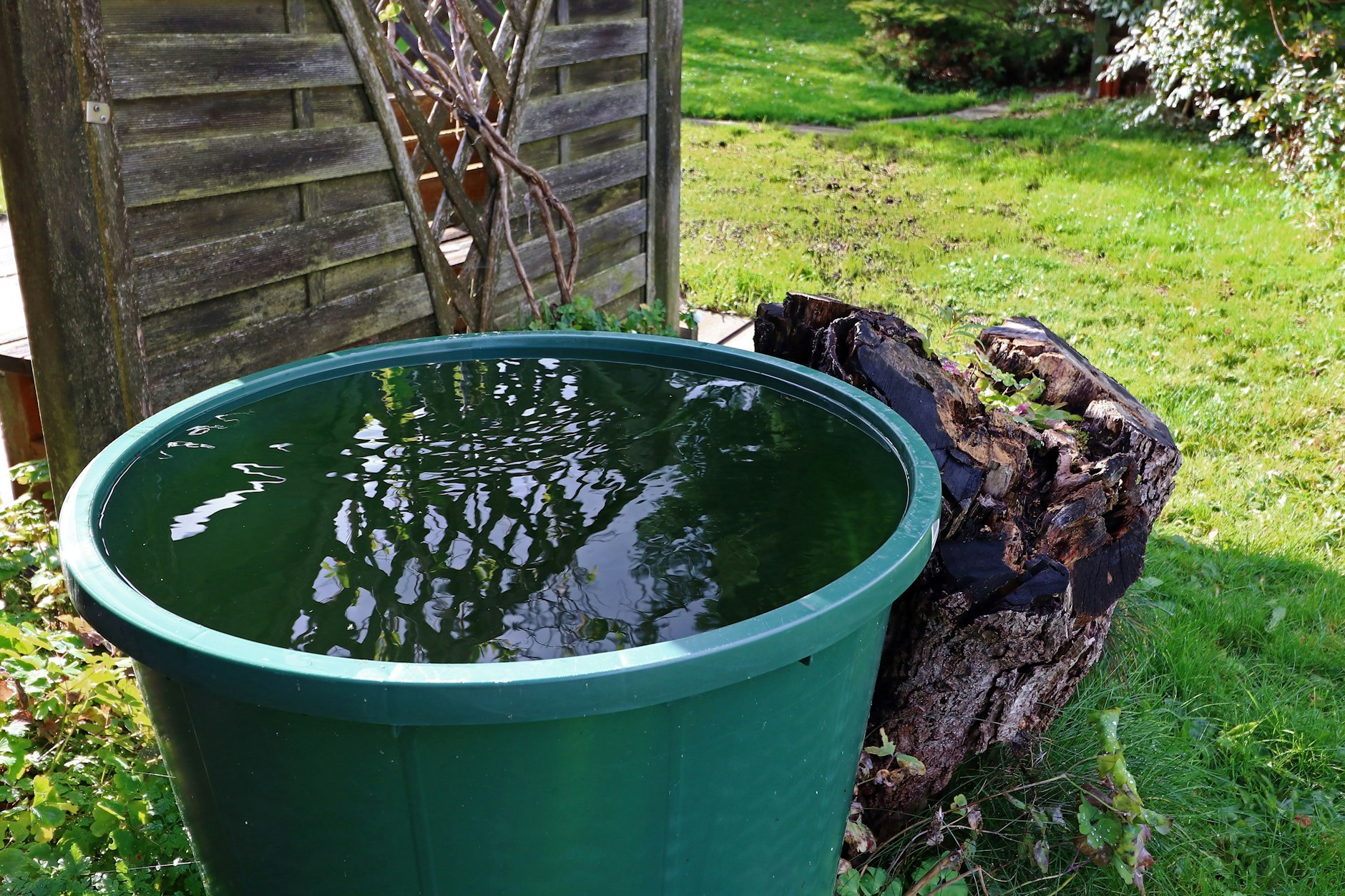Eine volle Regentonne wurde für eine Seniorin in Kessin zur Todesfalle (Symbolfoto)