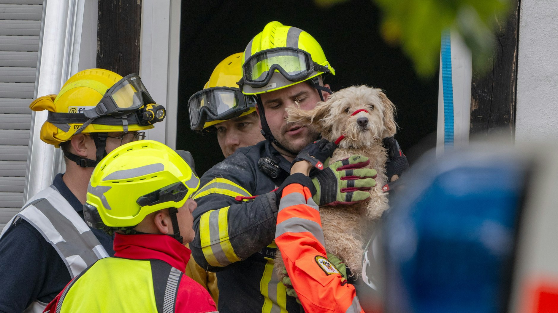 Auch ein Hund wurde von den Einsatzkräften aus den Trümmern befreit.