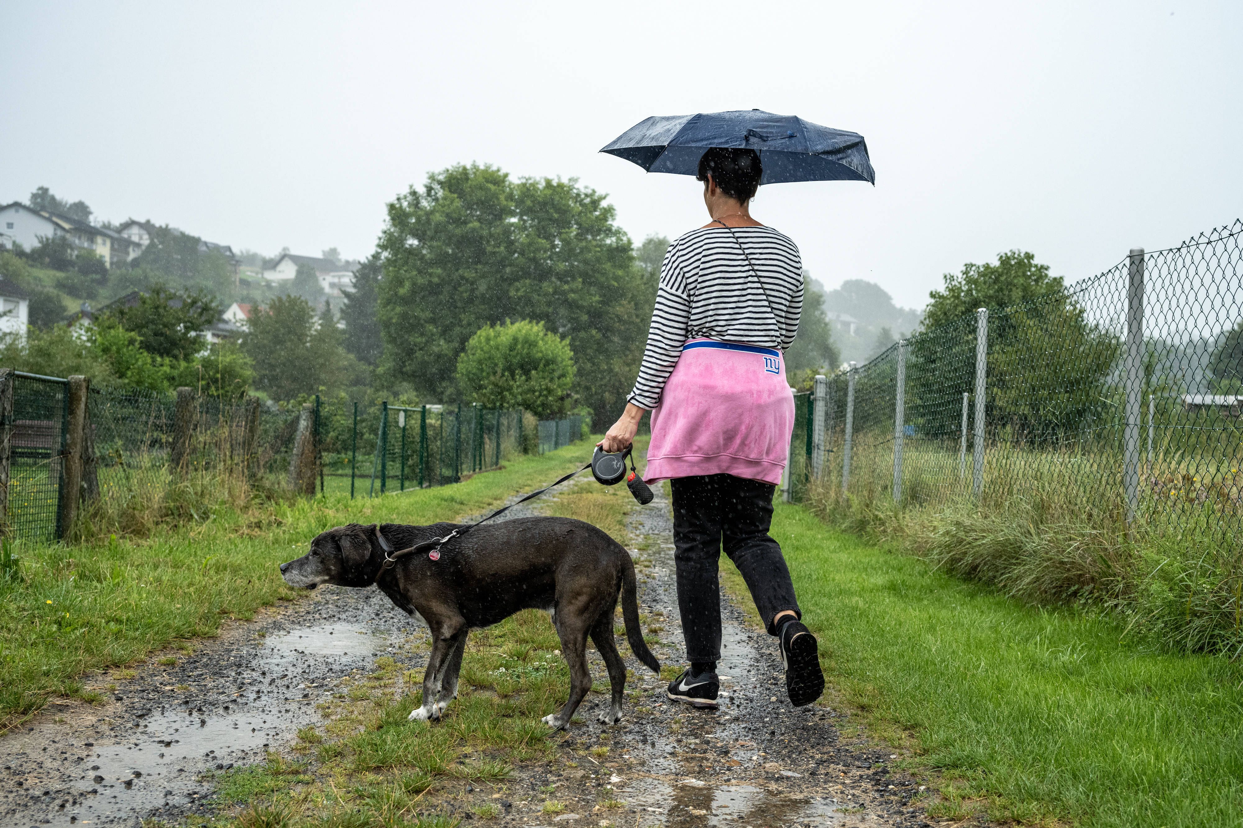 Zurück zur Routine: Wie Sie Ihren Hund im Alltagsstress glücklich machen!