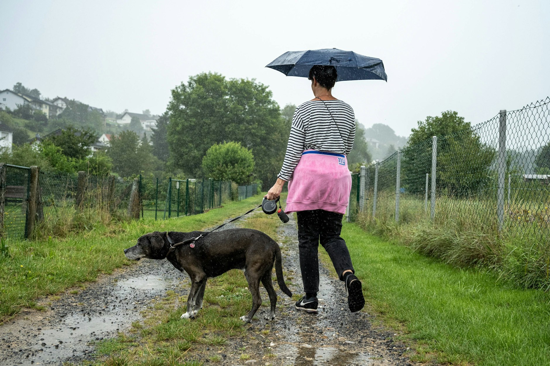 Gemeinsame Abenteuer bei jedem Wetter: So können Sie typische Herbstprobleme von gelangweilten Hunden vorbeugen!