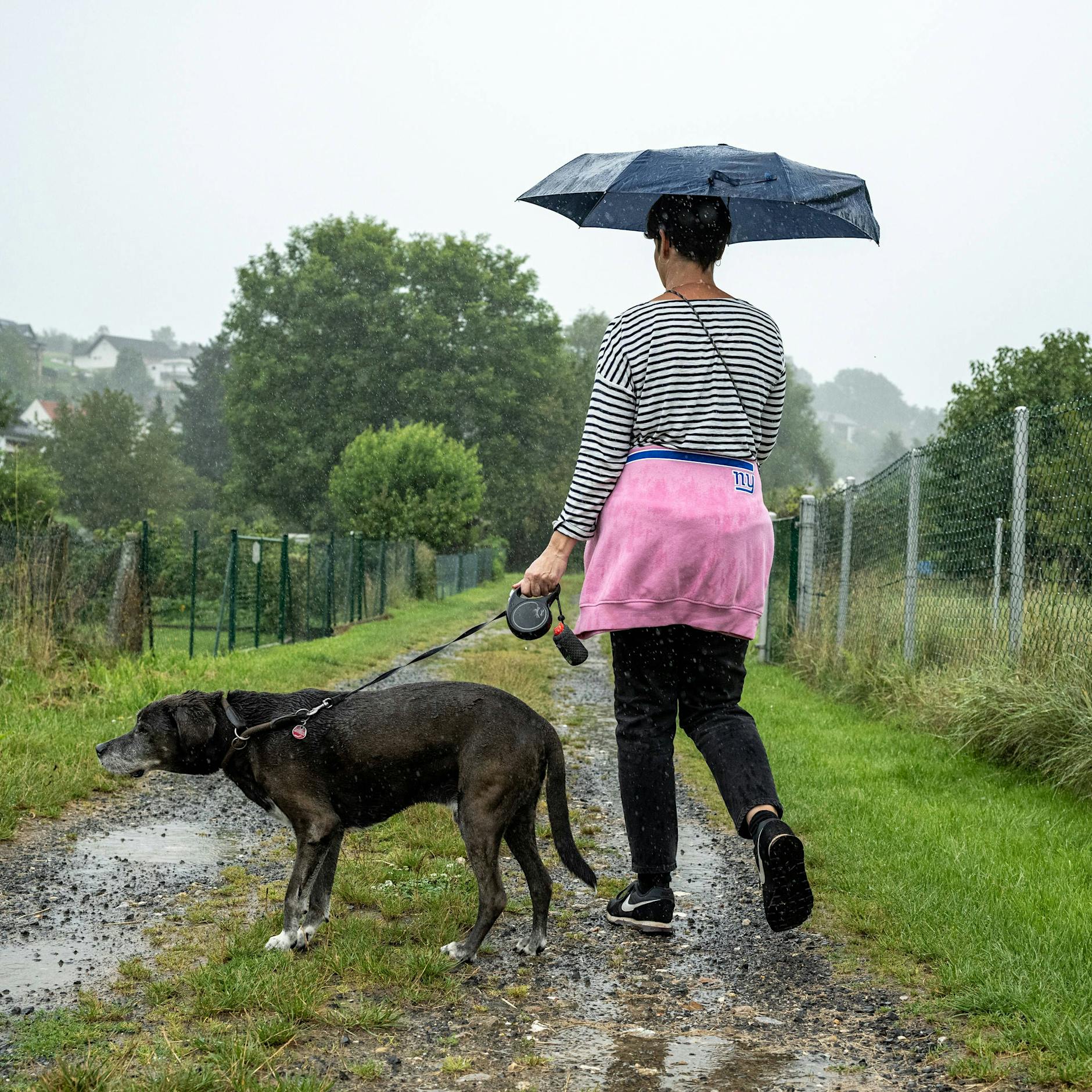 Zurück zur Routine: Wie Sie Ihren Hund im Alltagsstress glücklich machen!