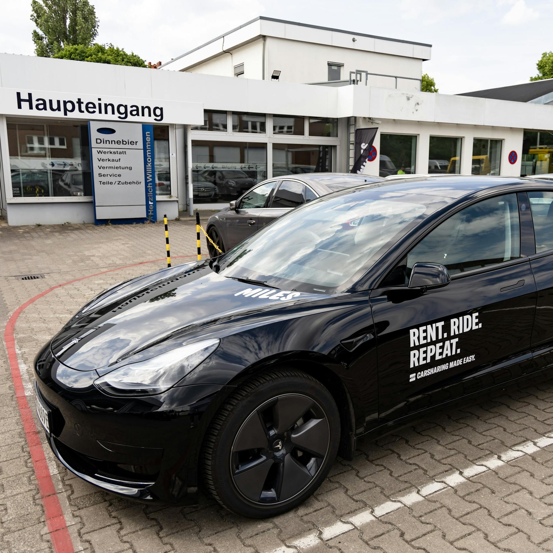 Image - Rossmann boykottiert Tesla: Halten Miles und Bolt an Elon Musks Elektroautos fest?