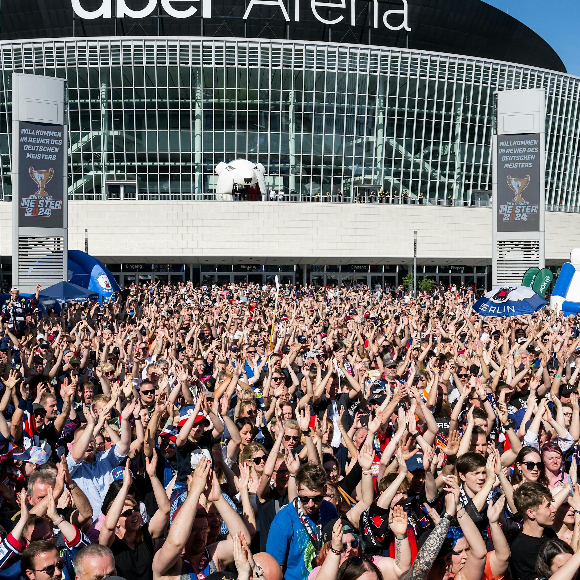 Meister lädt Fans ein: Eisbären feiern die erste Saison-Party