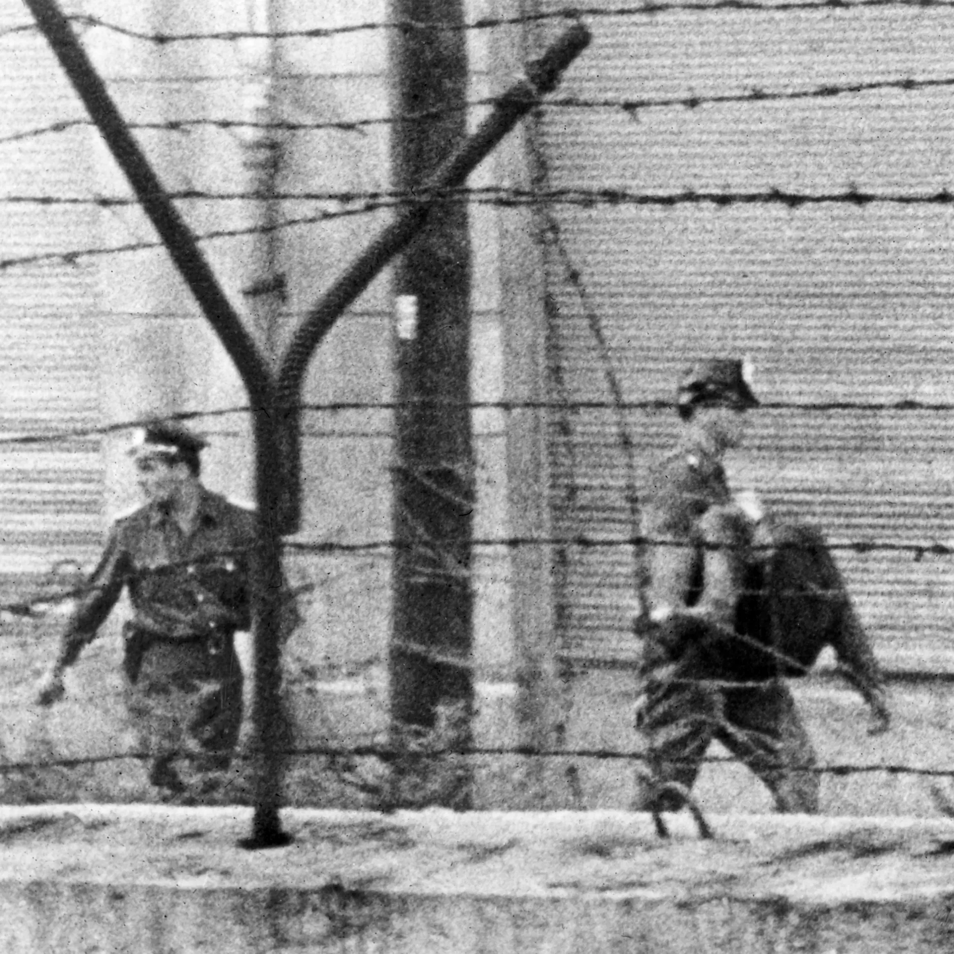 Image - Berlin-Weißensee: Kranzniederlegung in Gedenken an Opfer der Berliner Mauer