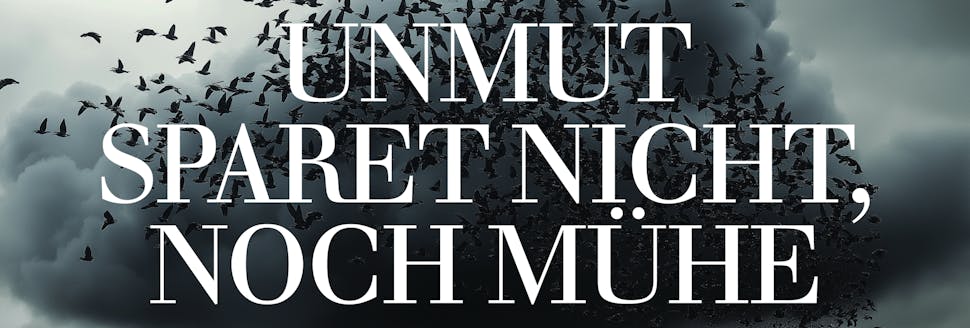 anmut_sparet_nicht_noch_muehe