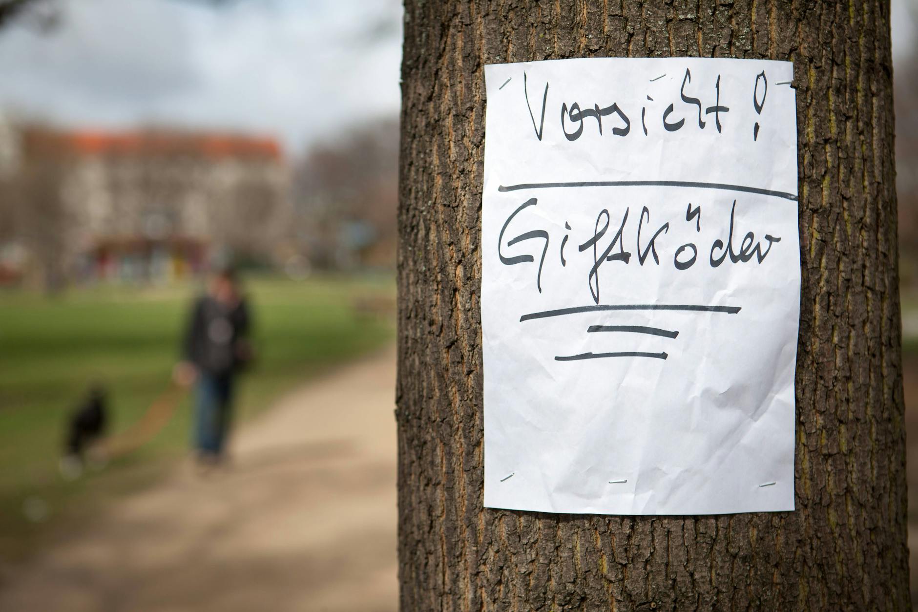Nachdem von Unbekannten in verschiedenen Berliner Bezirken auf Straßen, Plätzen und Parkanlagen Giftköder ausgelegt wurden, warnen Hundehalter andere mit Plakaten.
