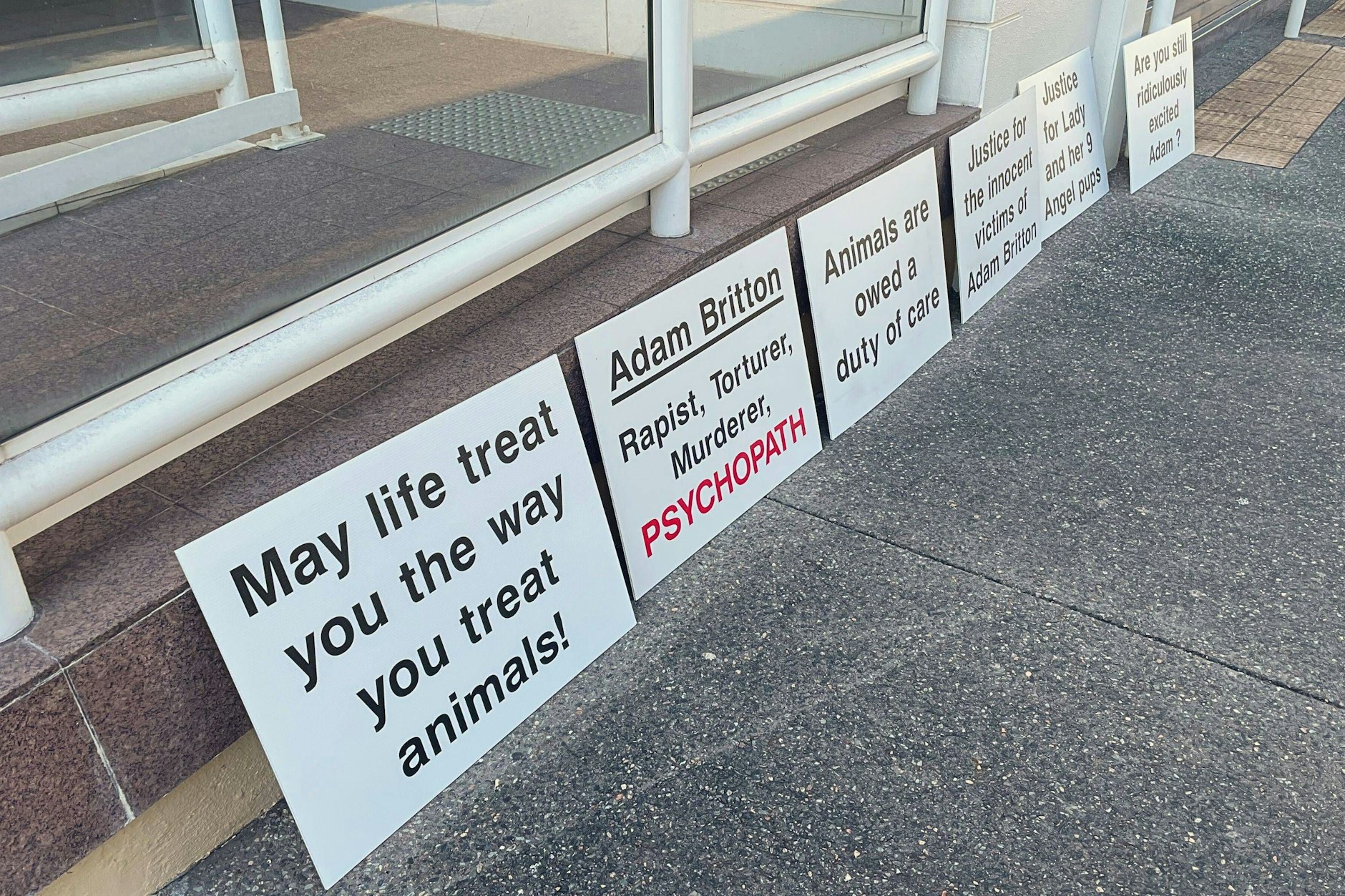  Schilder von Tierschützern stehen vor dem Obersten Gerichtshof des Northern Territory vor der Verurteilung von Adam Britton in Darwin, Donnerstag, 8. August 2024.