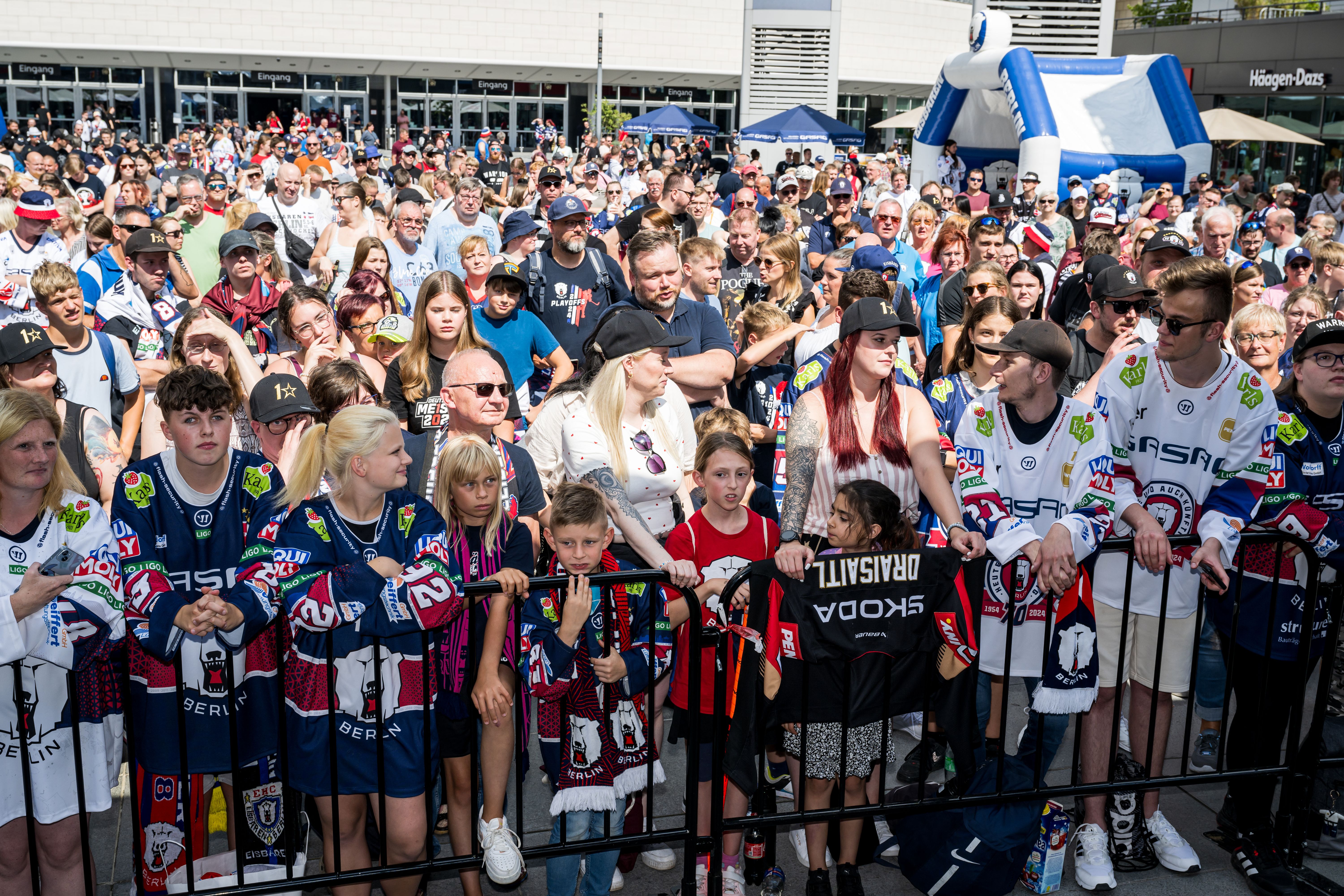 Image - Heiß auf neue Eiszeit: Fans rennen Eisbären Berlin die Bude ein
