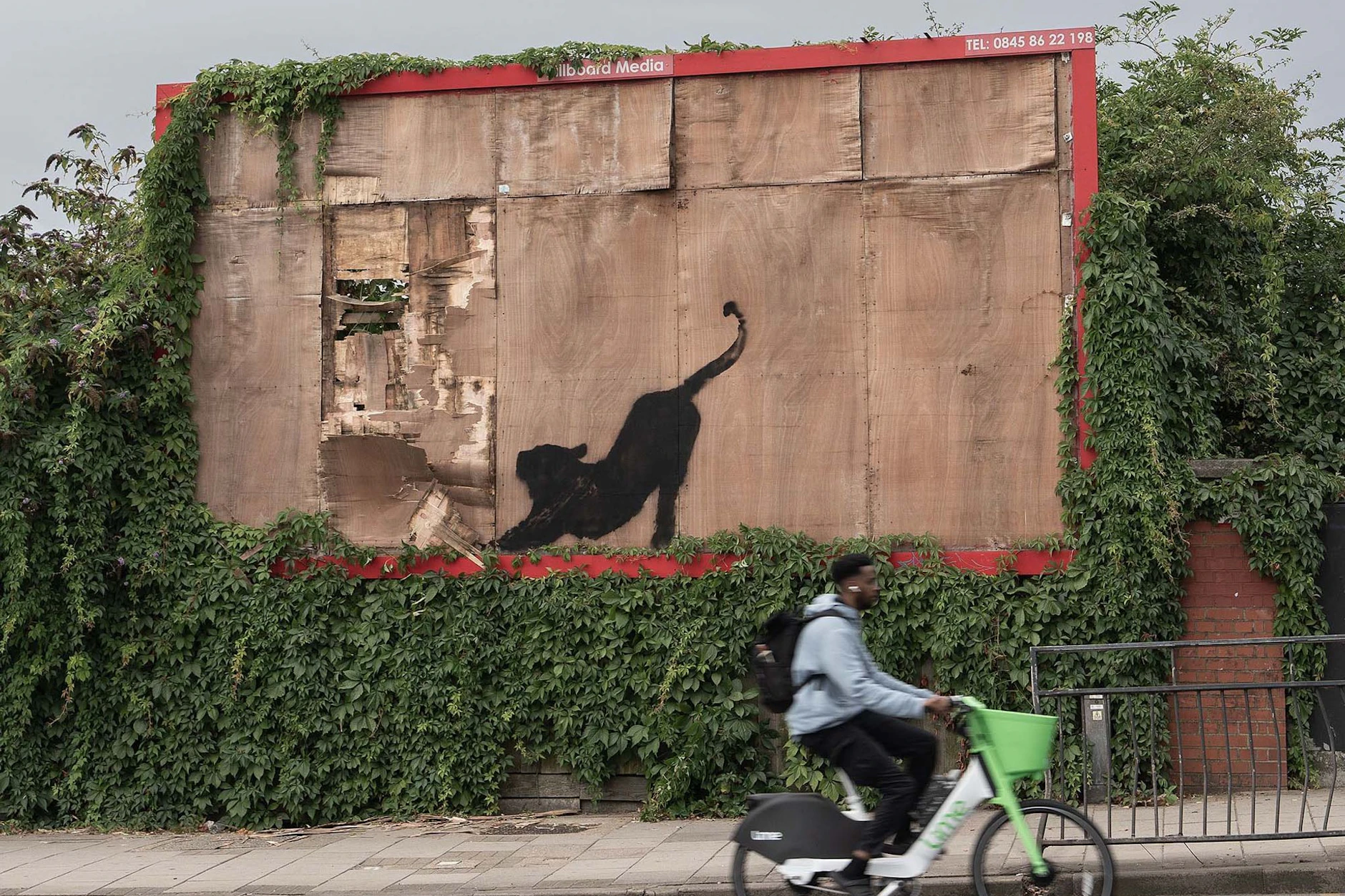 Banksy Nummer 6 ist eine Katze: Das steckt hinter den Tierbildern