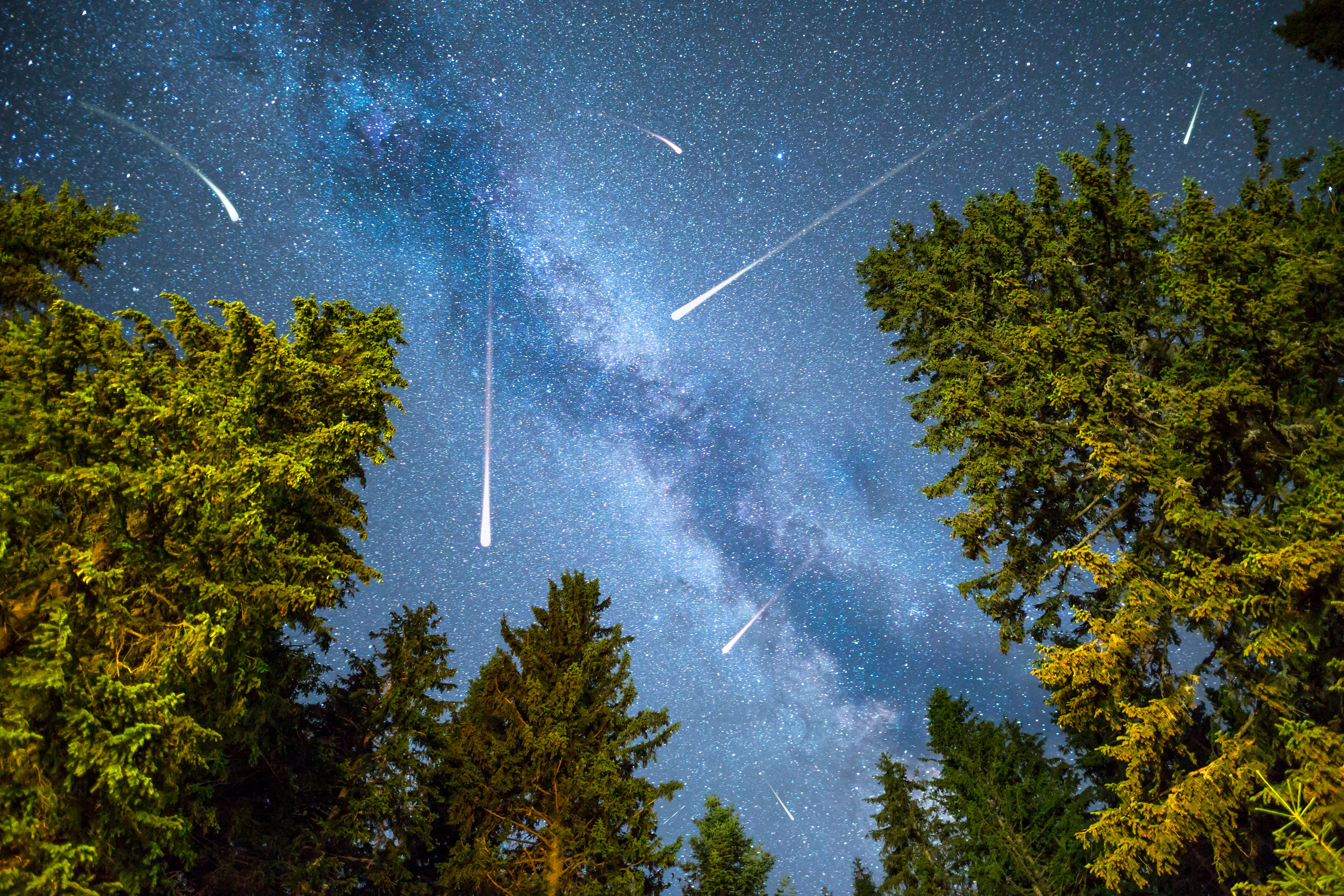 Perseiden-Höhepunkt 2024: Ideale Sternschnuppennacht steht in Berlin bevor