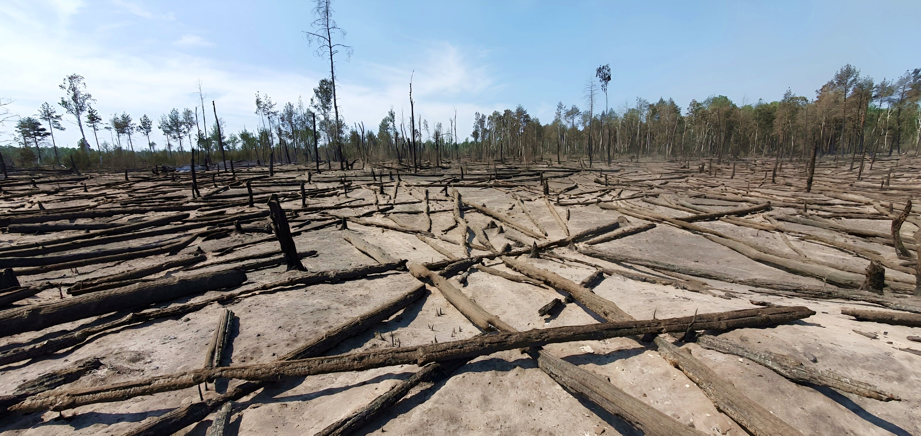 Brandenburg: Viel Regen, weniger Feuer – doch in Jüterbog sieht es schlimm aus