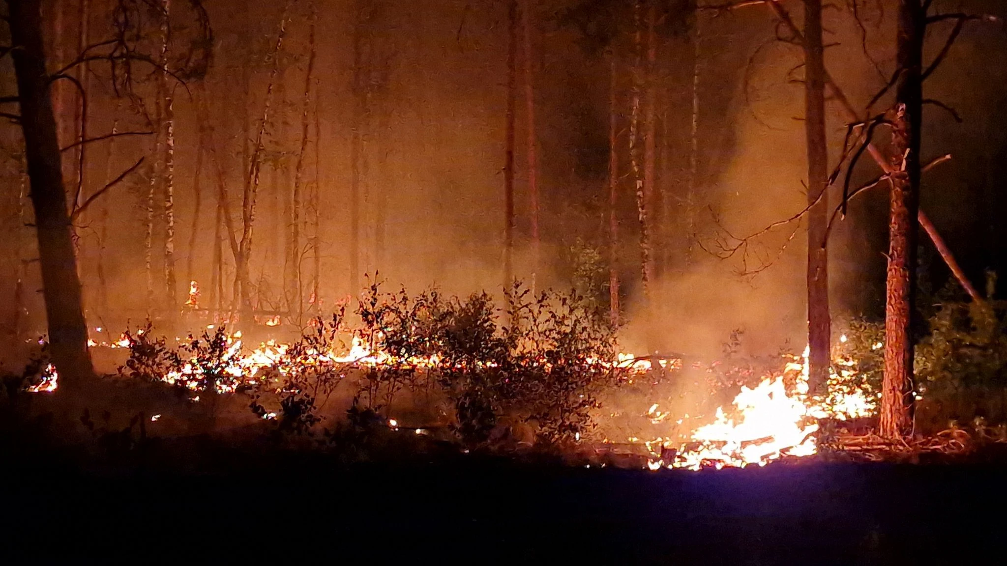 In diesem Jahr gab es solche Bilder zum Glück bisher nicht. Die Wälder sind nach den Regenfällen der vergangenen Monate wieder feuchter. 