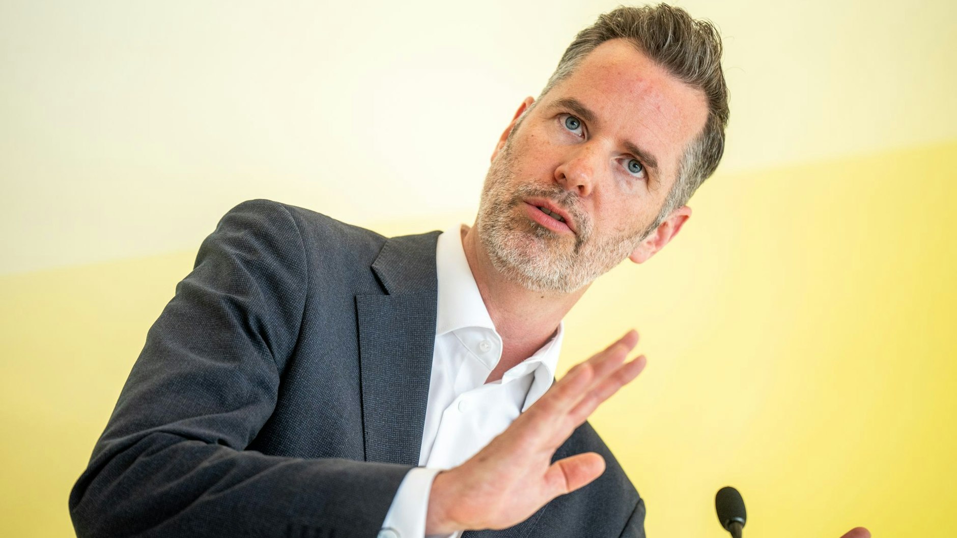 FDP-Fraktionschef Christian Dürr findet, das Bürgergeld ist 14 bis 20 Euro zu hoch.