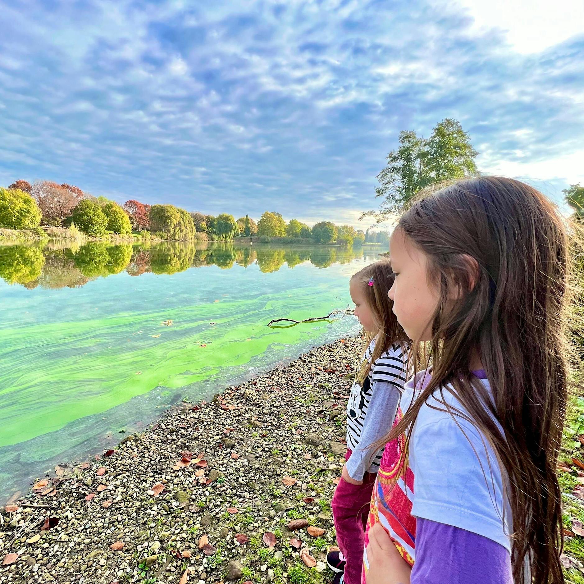 Blaualgen-Alarm! Wo in Berlin und Brandenburg das Baden gefährlich wird