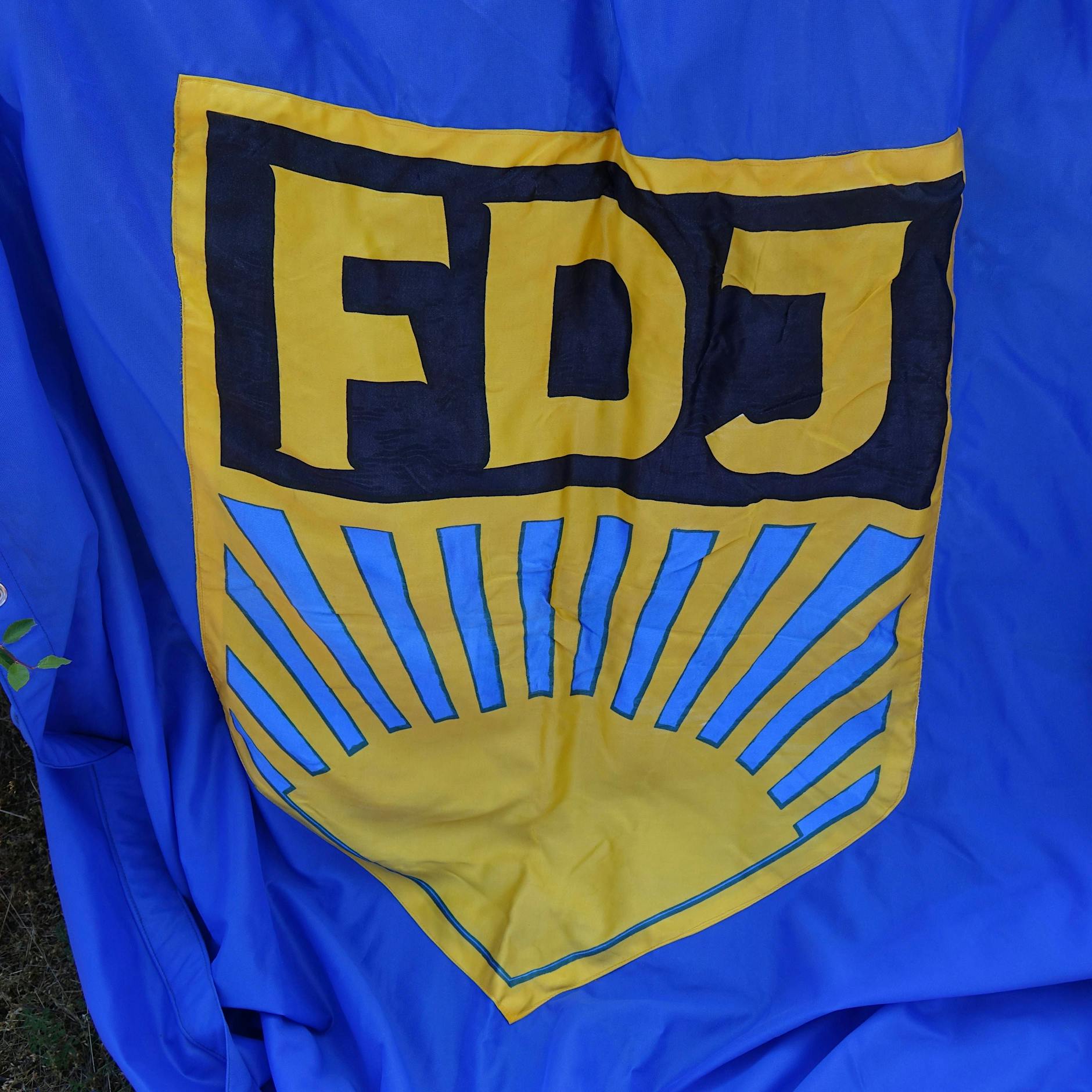 DDR wieder da! Blauhemden gehen für Frieden auf die Straße