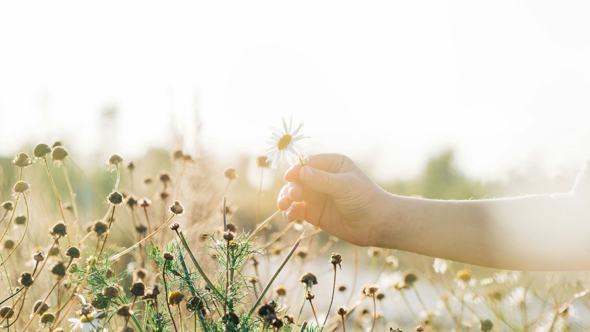 Ein Spaziergang in der Natur kann oft augenöffnend sein.