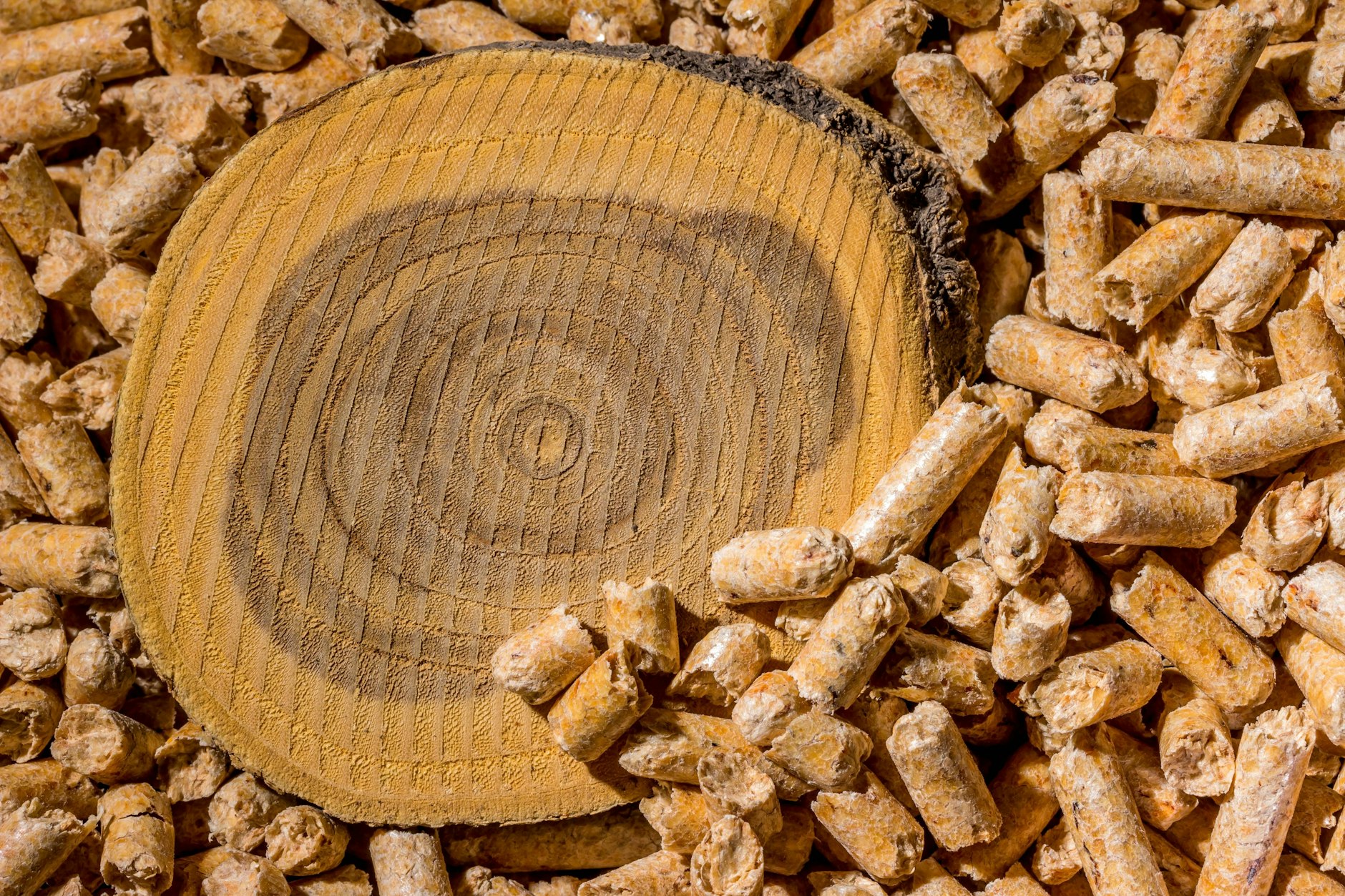 Pellets zum Heizen gelten als alternative, klimafreundliche Energiequelle und werden vor allem in ländlichen Regionen eingesetzt.