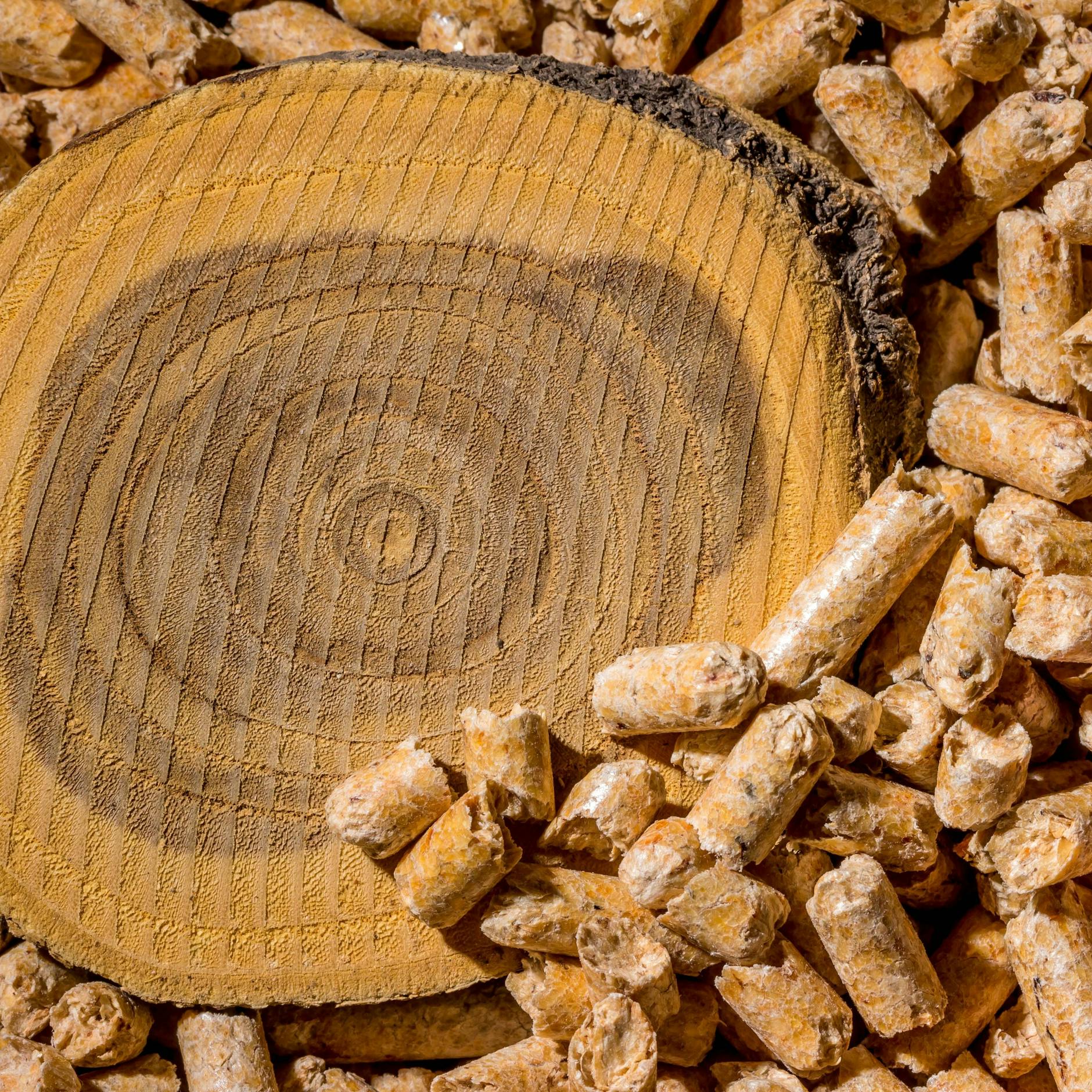 Image - Heizungsindustrie wettert: „CO₂-Abgabe auf Holz wäre nicht gerechtfertigt“