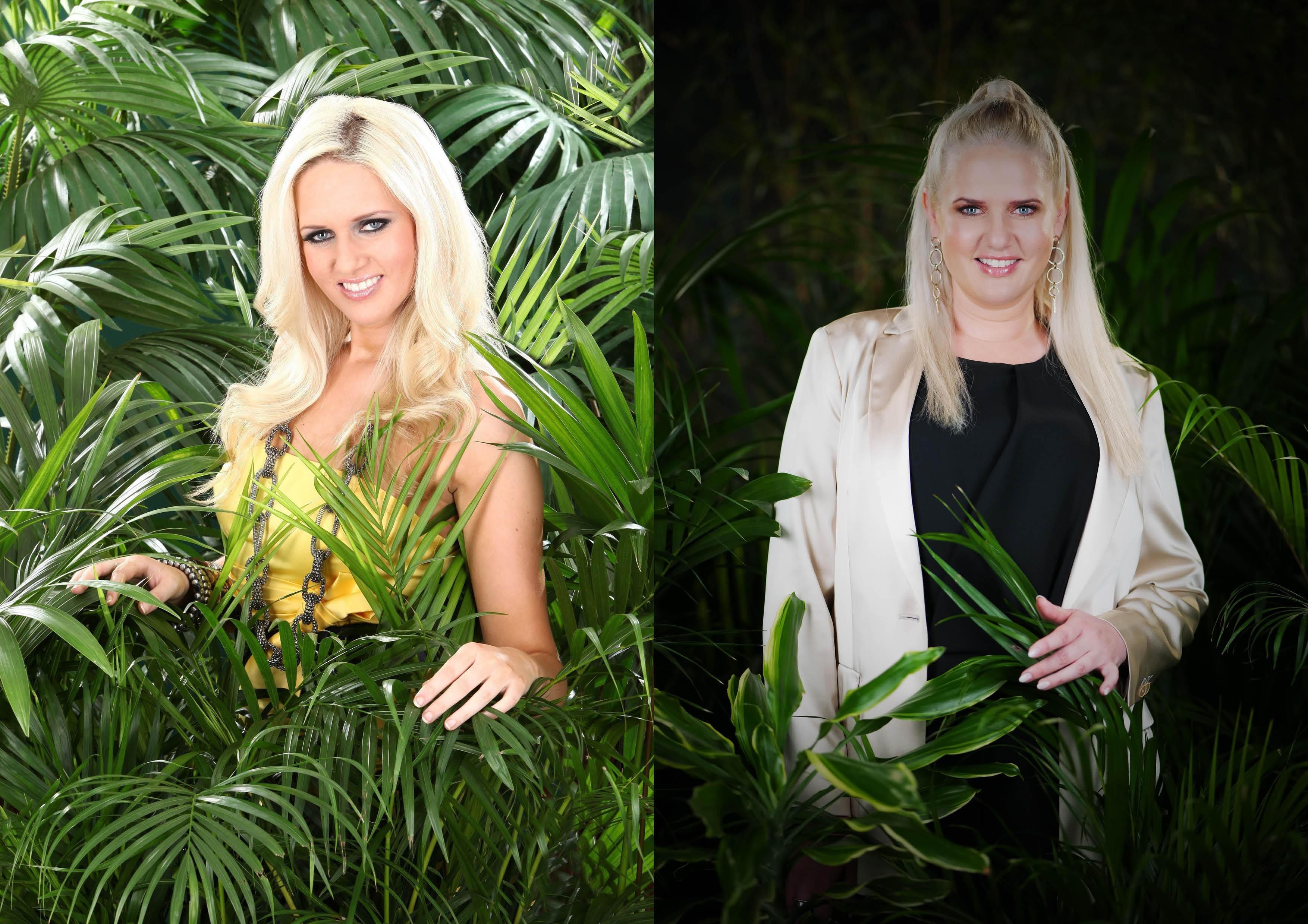 Image - Showdown der Dschungel-Legenden: DIESE Promis polarisieren am meisten