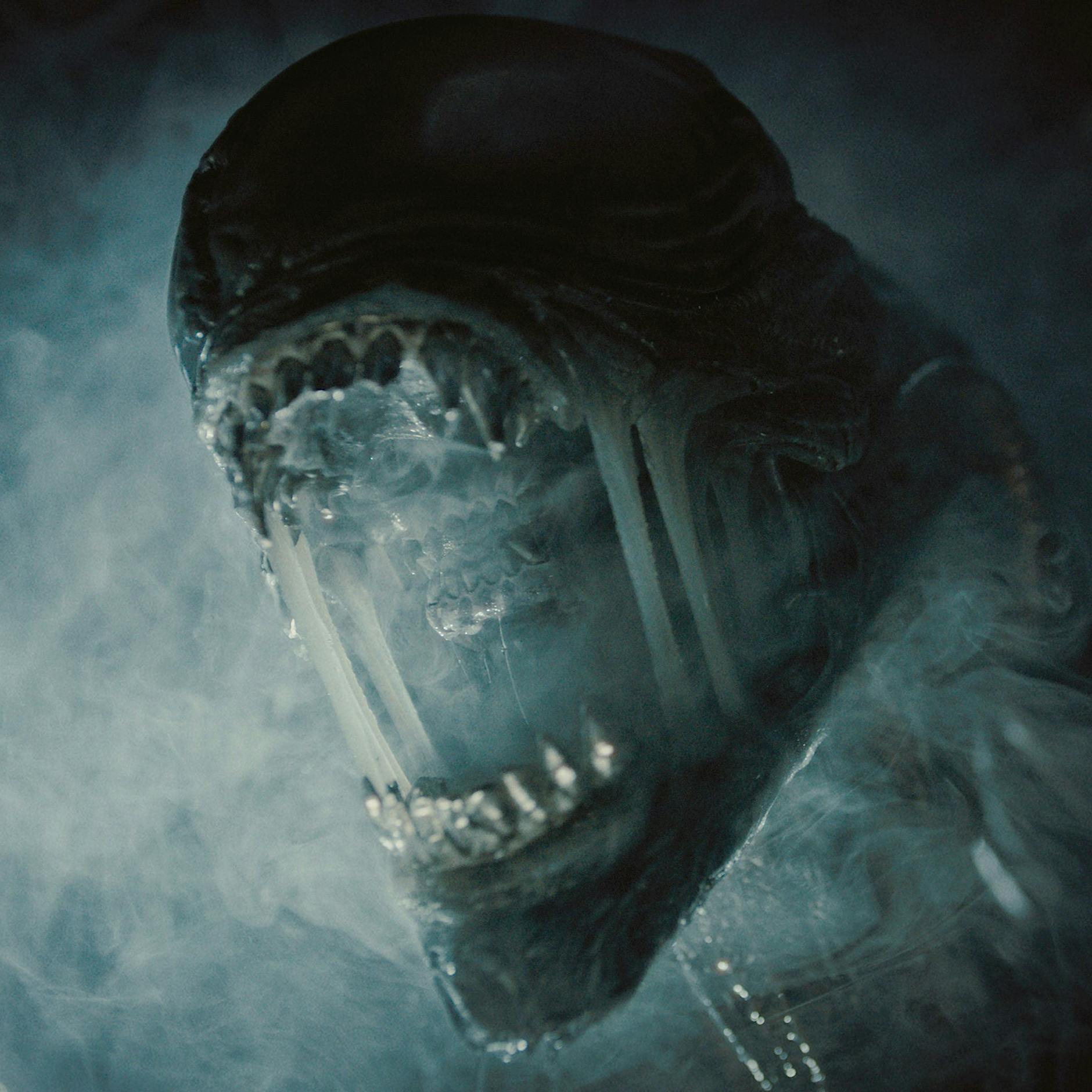 „Alien: Romulus“: Neuer Weltraum-Horror von Fede Alvarez – die Filmkritik