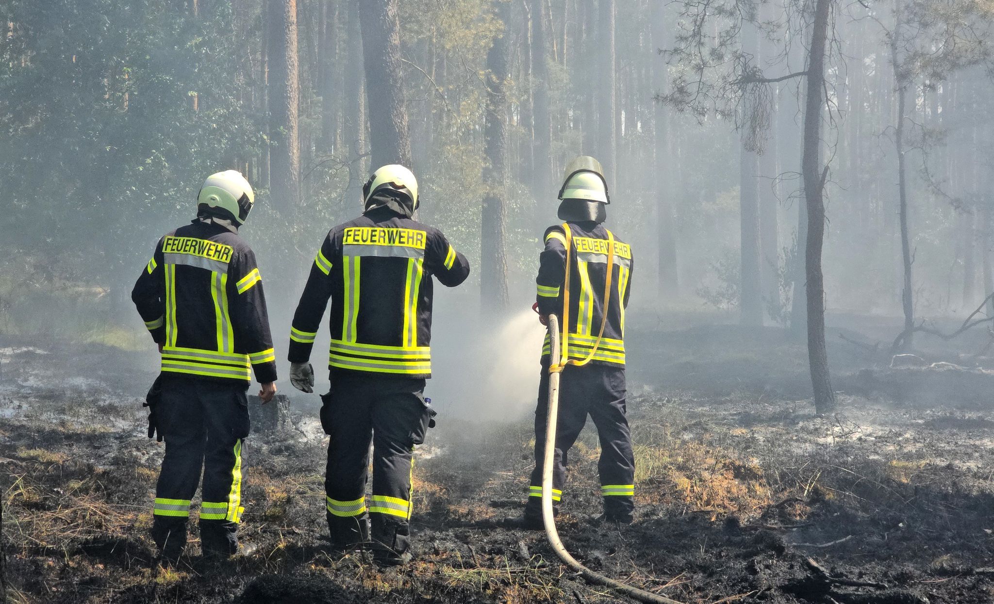Großbrand im Wald in Südbrandenburg: „Die Lage ist dramatisch“