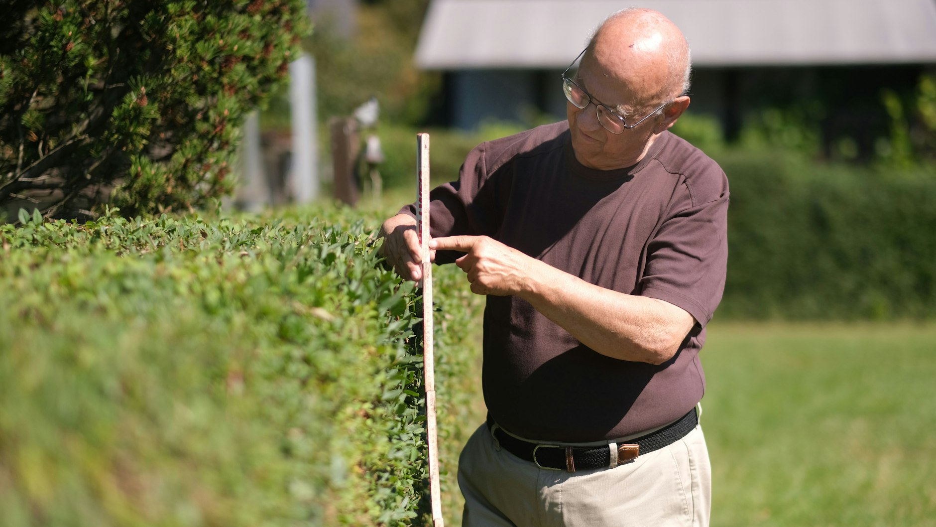 Als Verbandschef und Vizepräsident der Berliner Gärtner muss Norbert Franke Vorbild sein: Die Höhe seiner Hecke misst genau 1,25 Meter Höhe, so wie es Vorschrift ist.