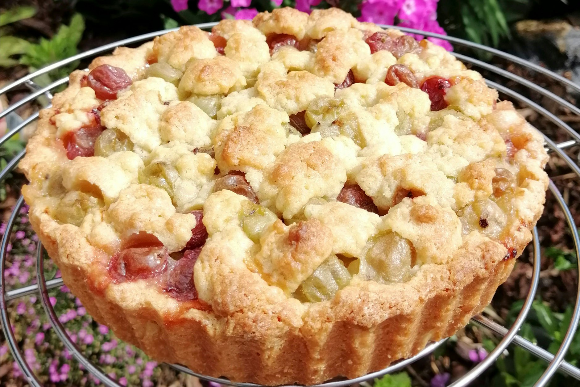 Aus Stachelbeeren kann man ganz einfach einen leckeren Streuselkuchen zaubern - das Rezept kommt direkt aus Omas Backbuch.