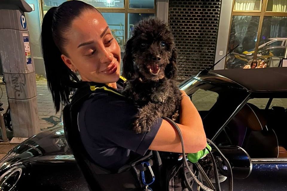 Berliner Polizei rettet armen wuschel-Hund aus einem geparkten Auto in Mitte– der Besitzer des Tieres bekam eine ordentliche Standpauke!