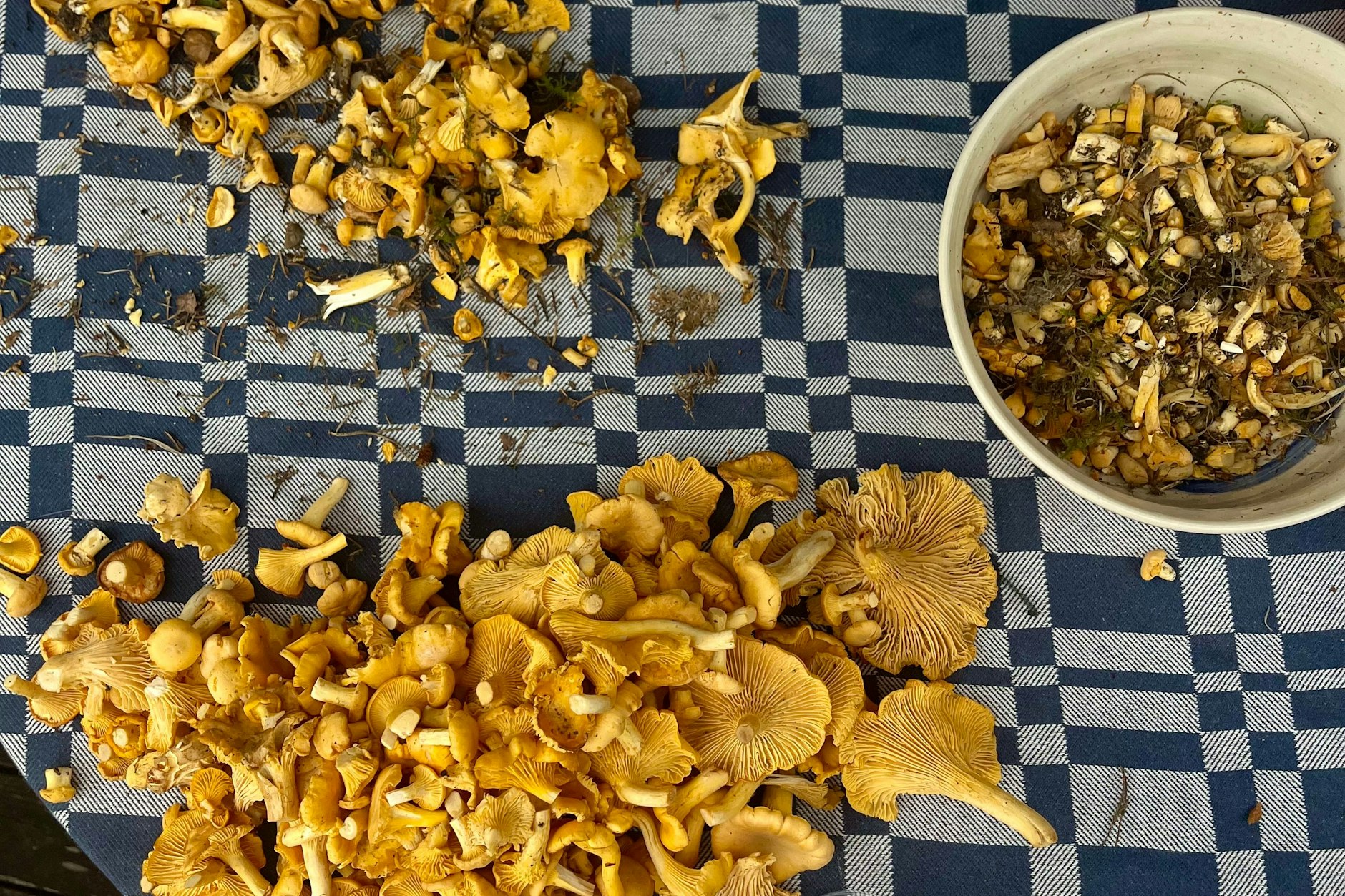 Rezept für Pfifferlinge: Mit einem Hauch von Butter und frischen Kräutern zubereitet, bringen Pfifferlinge den reinen Geschmack des Waldes auf den Teller.