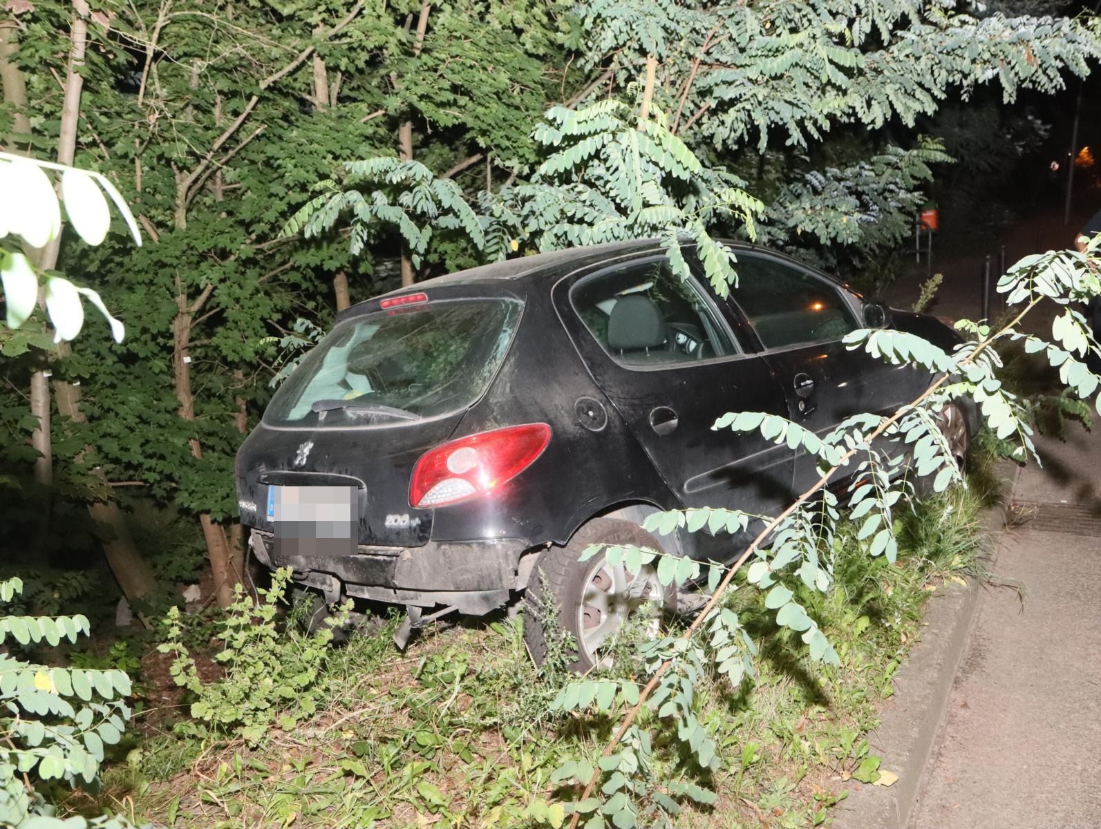 Treptow-Köpenick: Auto rollt selbstständig 130 Meter in den Wald