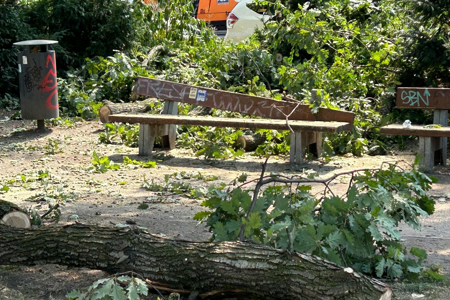 Äste liegen im Ottopark neben einer zerstörten Bank. Ein Mann ist davon getroffen und lebensgefährlich verletzt worden.