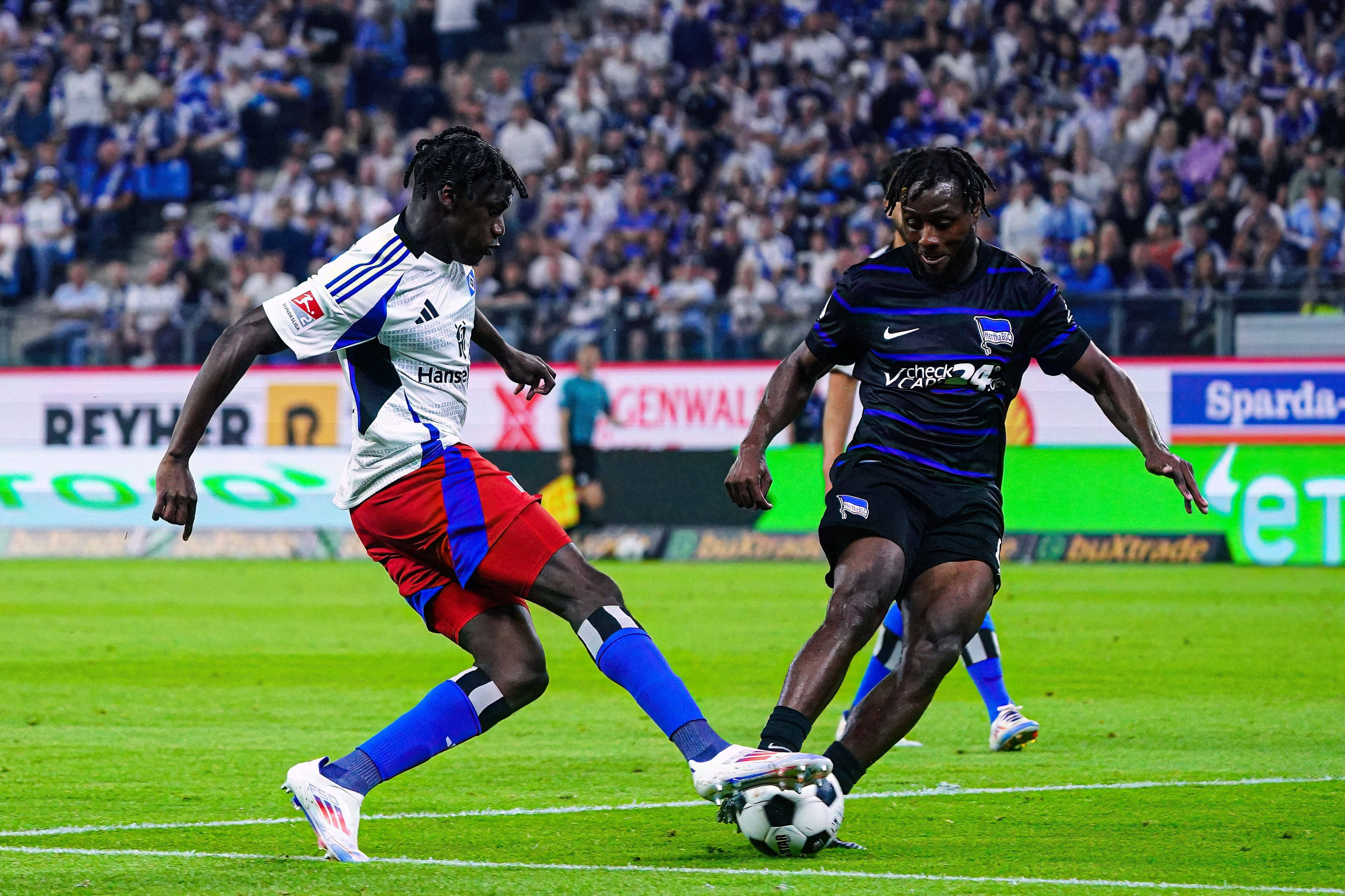 Image - Hertha BSC: Startelf oder Joker - wann ist Deyo Zeefuik wertvoller?