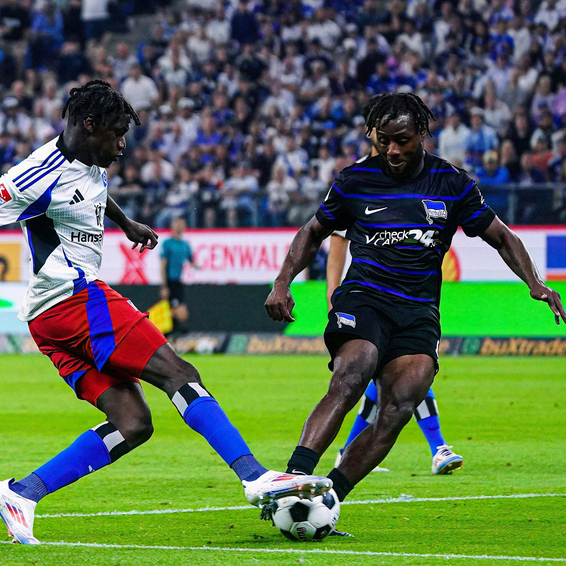 Hertha BSC: Startelf oder Joker - wann ist Deyo Zeefuik wertvoller?