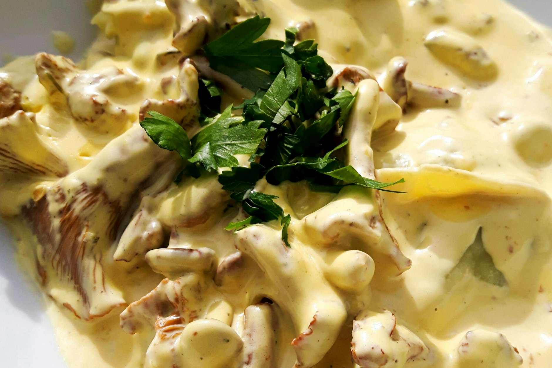 Rezept für verführerisch cremige Nudeln mit frischen Pfifferlingen – ein herzhafter Genuss, der die Aromen des Waldes perfekt einfängt.