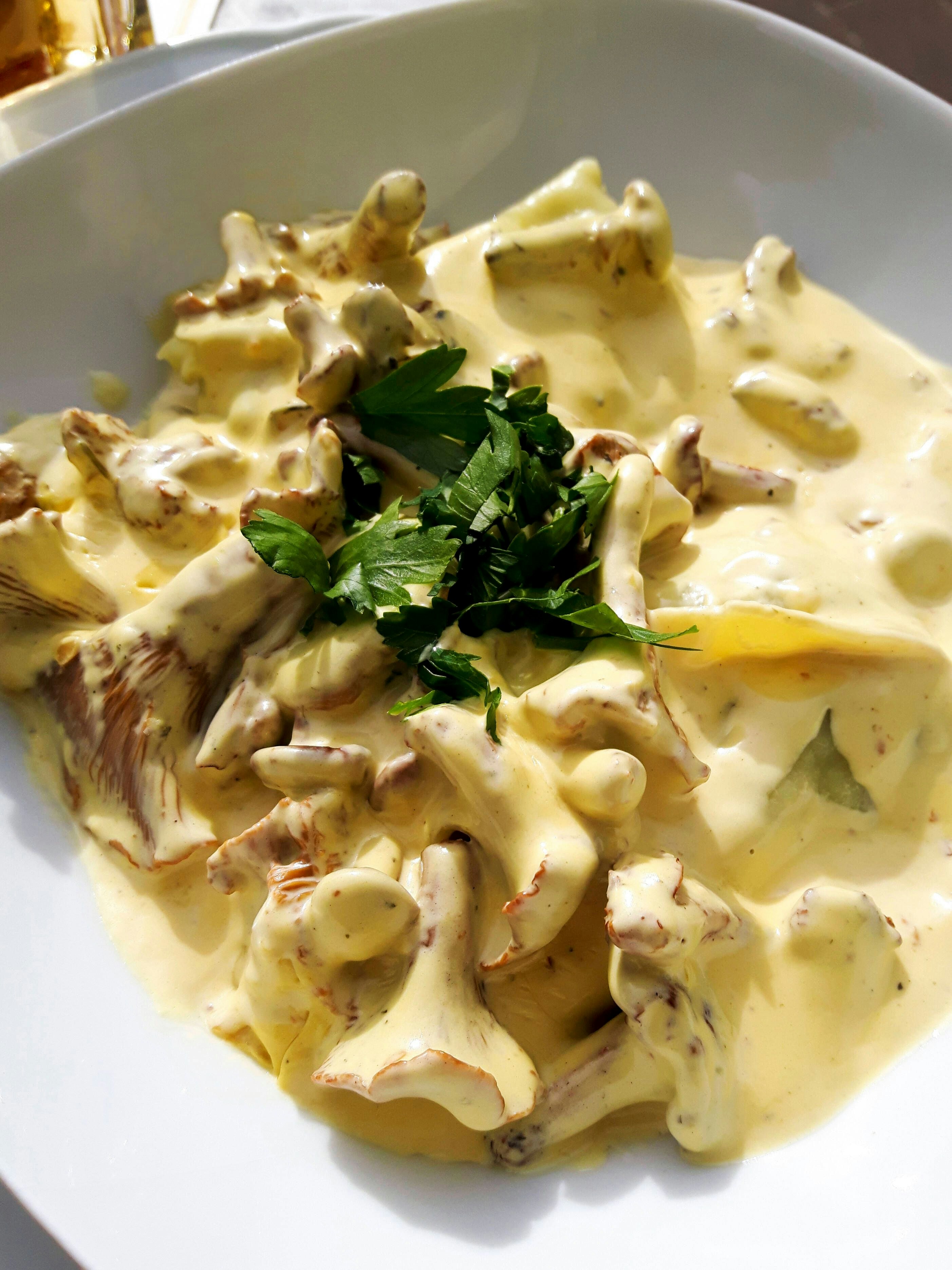 Leckeres Rezept aus Schweden! Nudeln mit cremiger Pfifferlingsoße