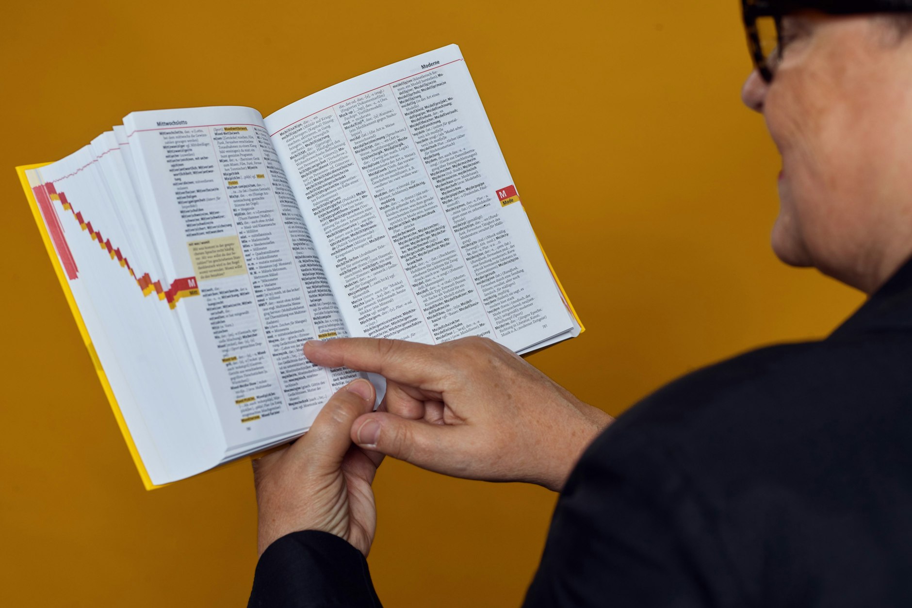 Ein Blick in den neuen Duden.