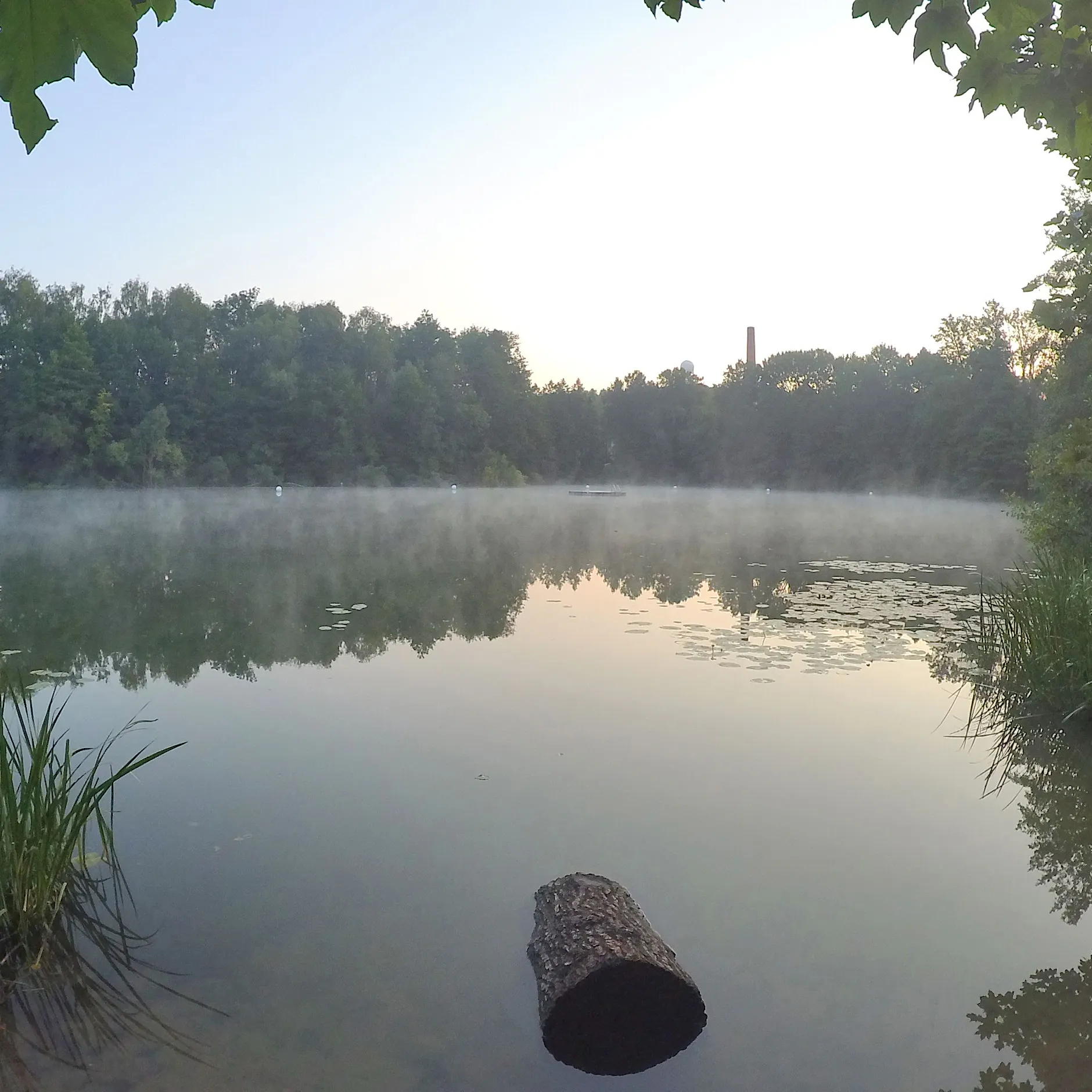 Neue Badewarnungen für Berlin: E.-coli-Bakterien im Teufelssee, Algen in Unterhavel