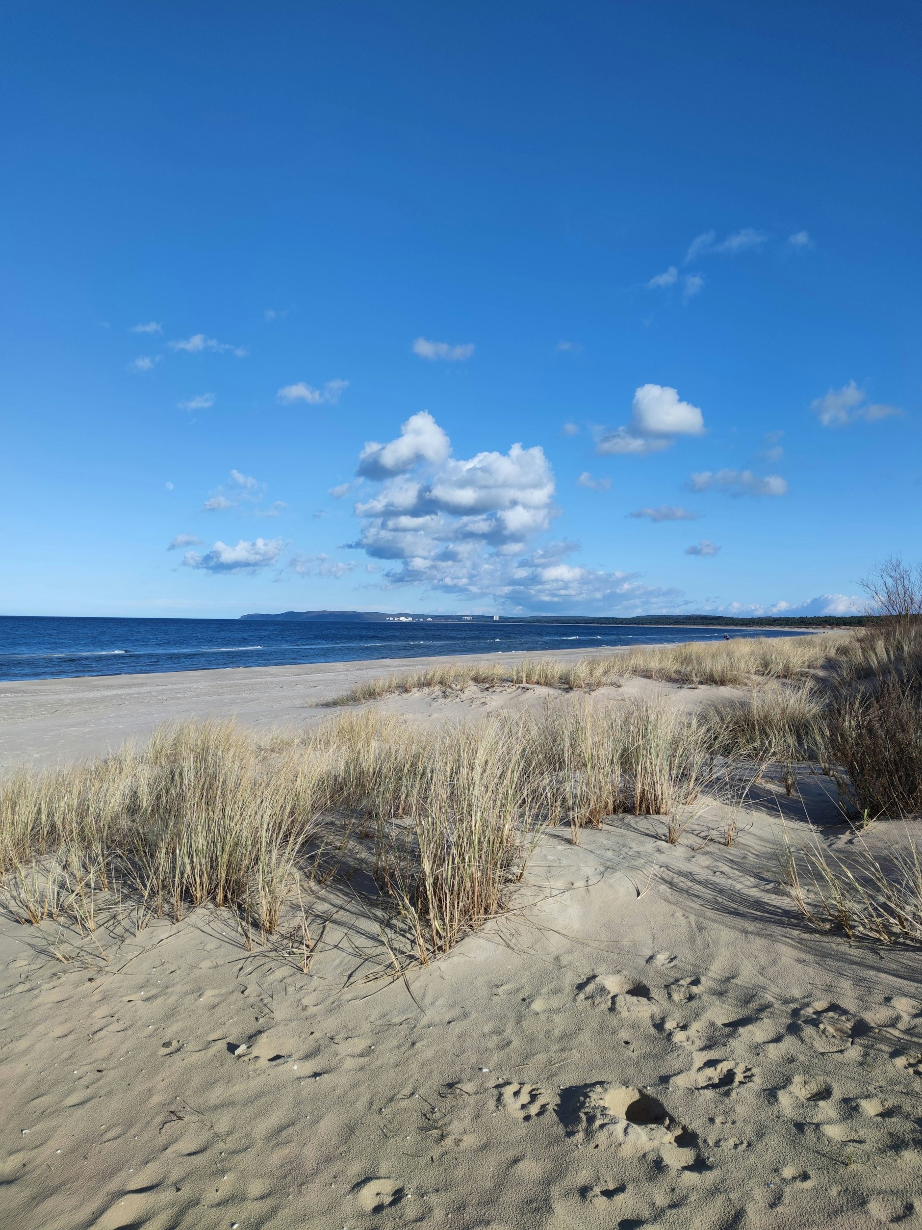 Der malerische Strand bei Swinemünde. 