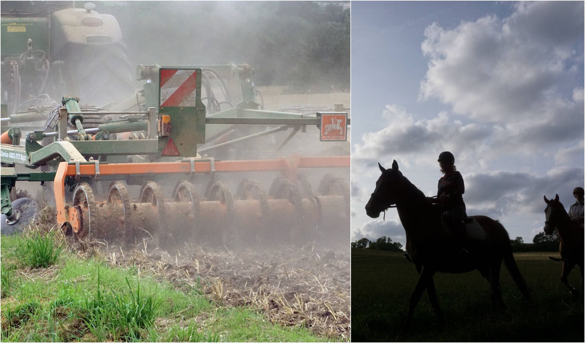 Image - Junge Reiterin wird vom Grubber überrollt – tot!