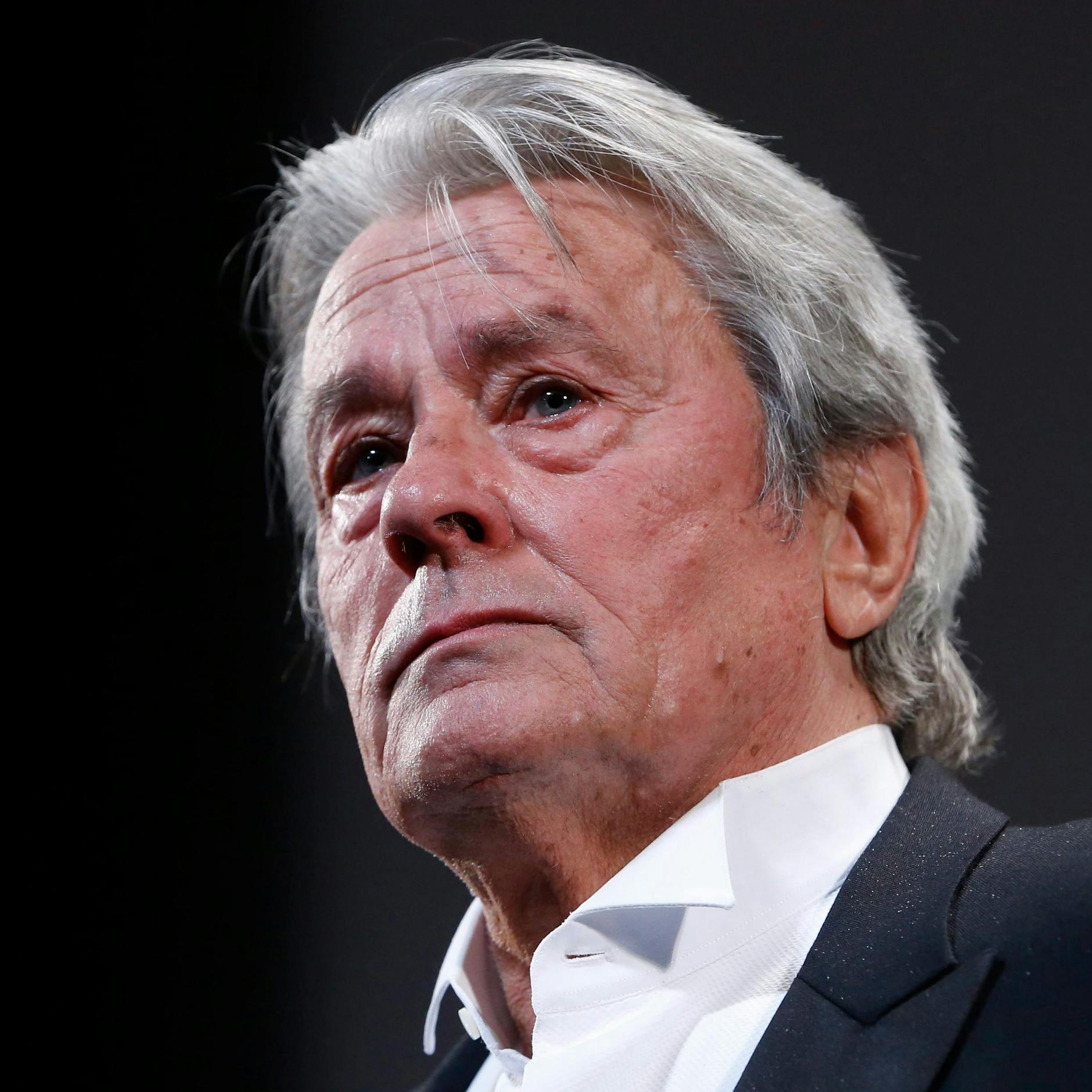Image - Gegen Alain Delons Wunsch: Sein Hund Loubo darf nicht sterben