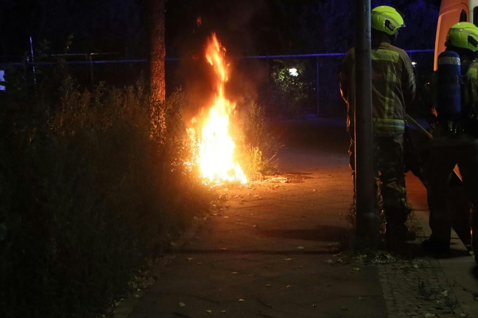 Die Berliner Feuerwehr löschte die Brände.